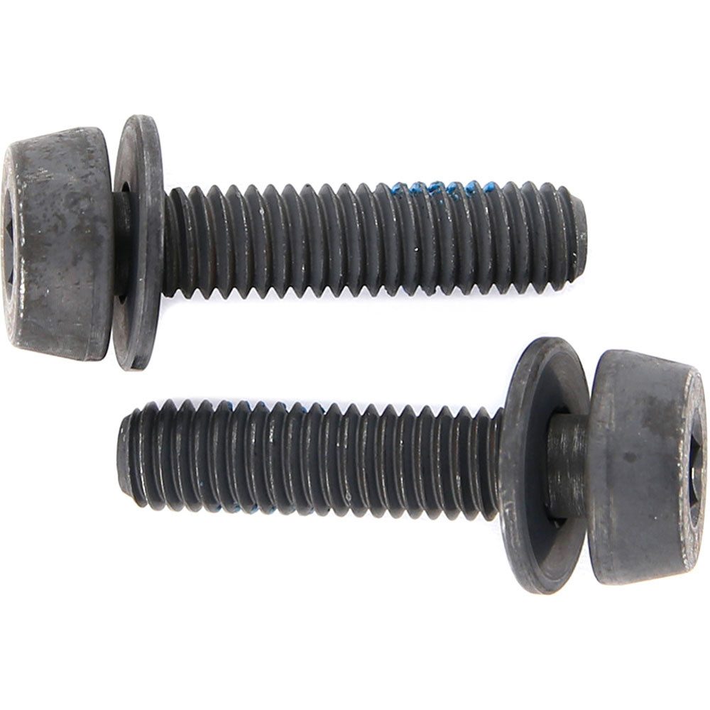 CAMPAGNOLO Schraube Campagnolo Befestigungsschraube für 10-14mm Hinterbauten AC18-DBSC19 8