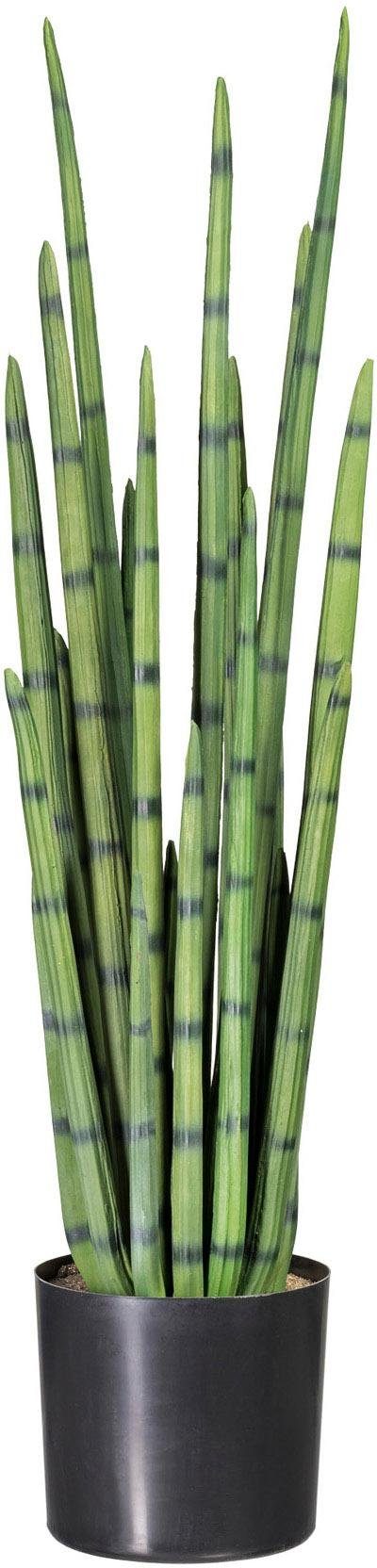 Kunstpflanze Sanseveria, Creativ green, Höhe 100 cm günstig online kaufen