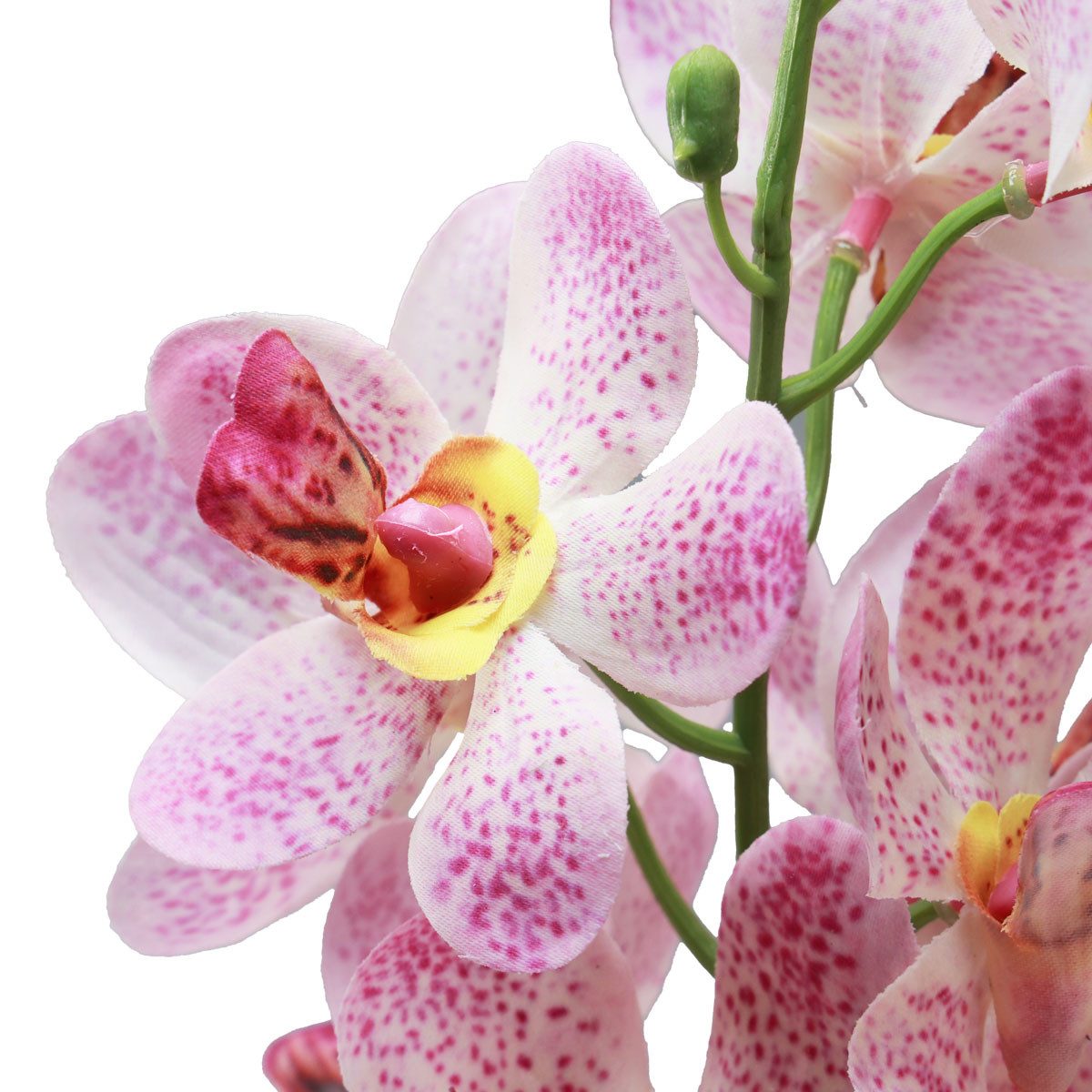 Kunstorchidee Künstliche Orchidee Pink Weiß Real-Touch günstig online kaufen