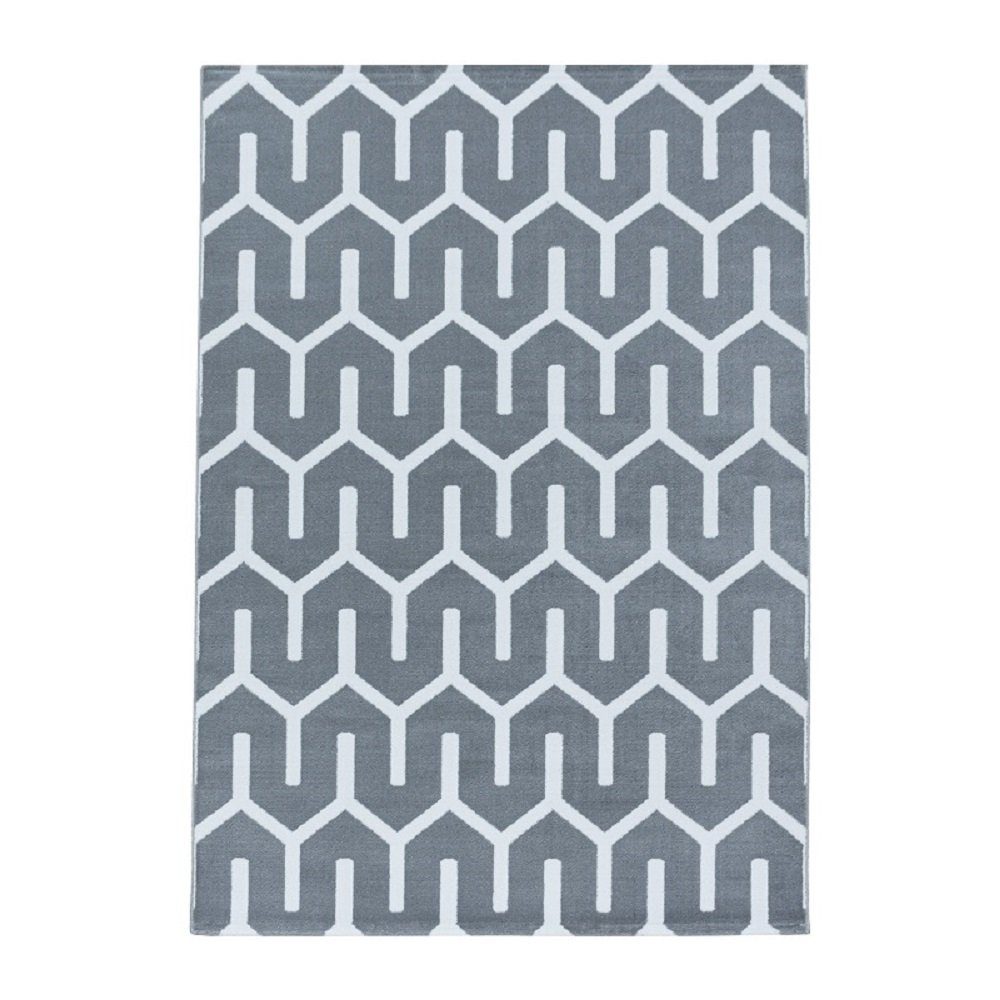 Designteppich Florhöhe 9 mm Giantore, rechteck Grau modern