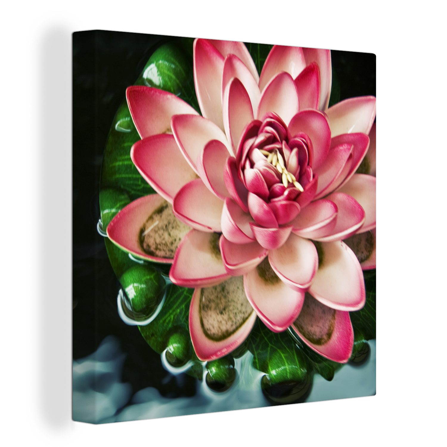 OneMillionCanvasses® Leinwandbild Ein Koi-Karpfen mit einer rosa Blume, (1 St), Leinwand Bilder für Wohnzimmer Schlafzimmer