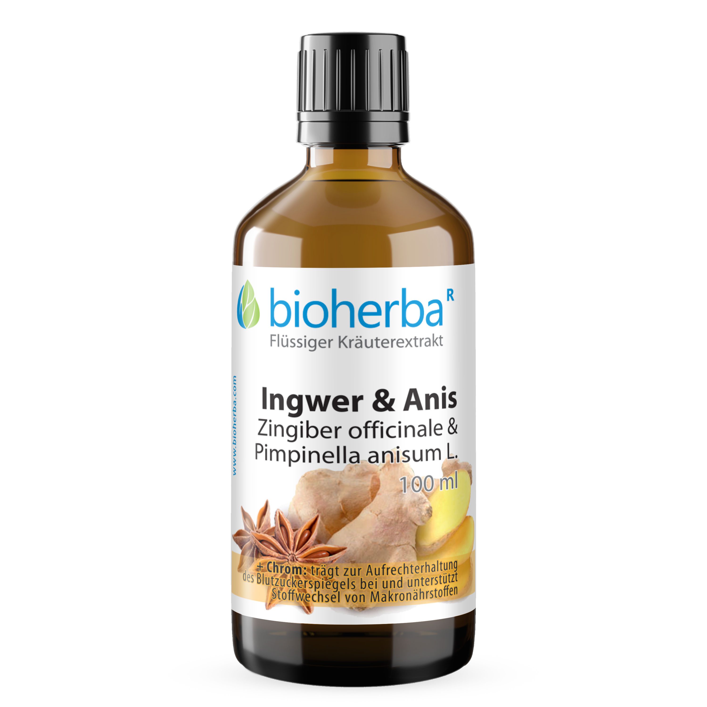 BIOHERBA R Bioherba Ingwer & Anis Tropfen Tinktur 100 ml Nahrungsergänzungsmittel, 1 er
