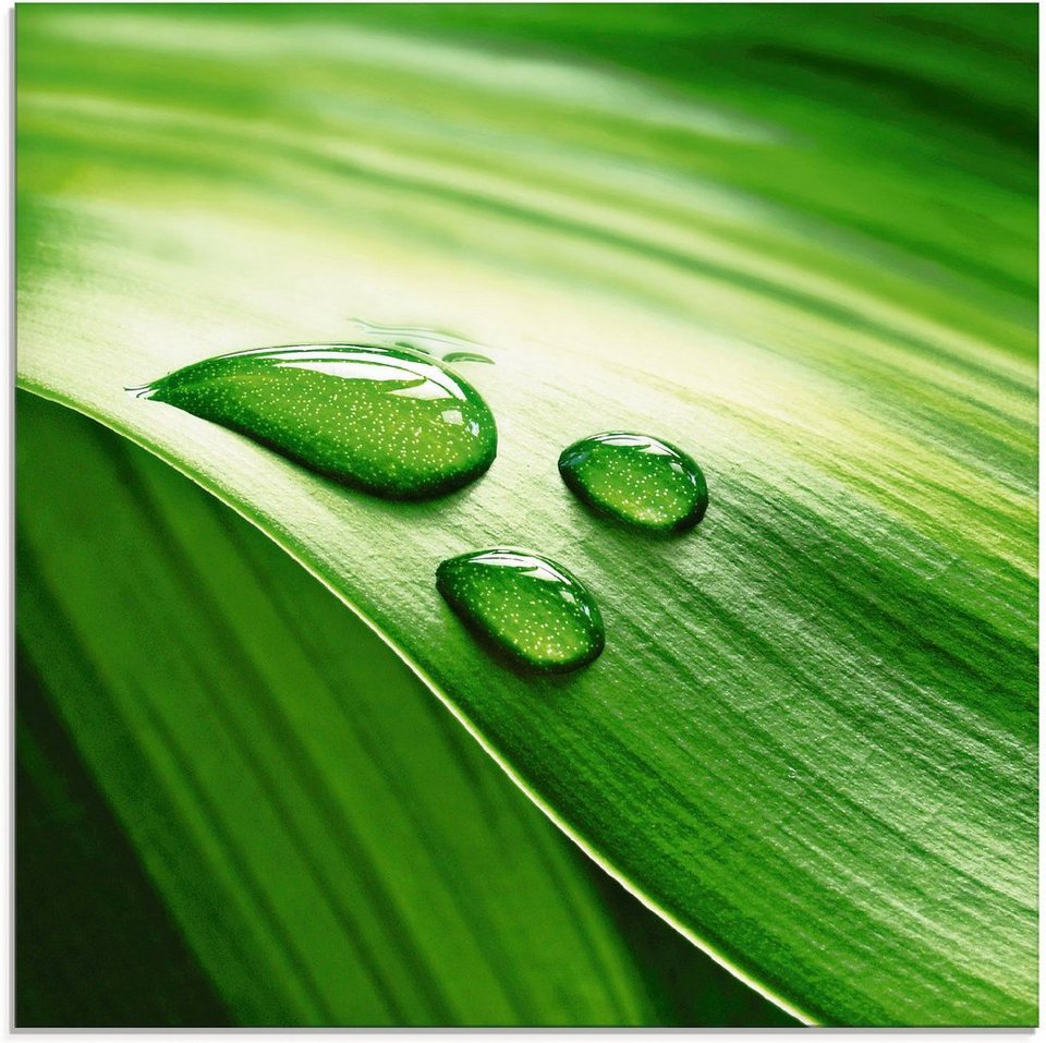 Artland Glasbild Nahaufnahme eines grünen Pflanzenblattes, Blätter (1 St),  in verschiedenen Größen