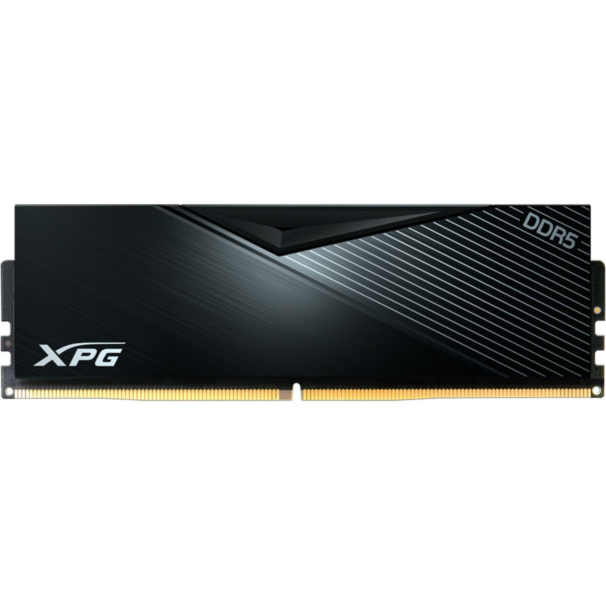 ADATA DIMM 32 GB DDR5-6400, Arbeitsspeicher Arbeitsspeicher