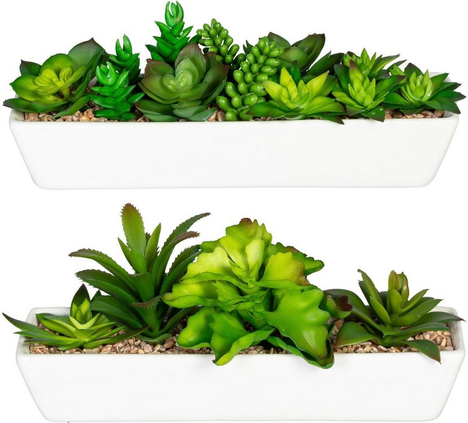 Künstliche Zimmerpflanze Sukkulentenarrangement Sukkulente, Creativ green,  Höhe 9 cm, im Keramikkasten, 2er Set