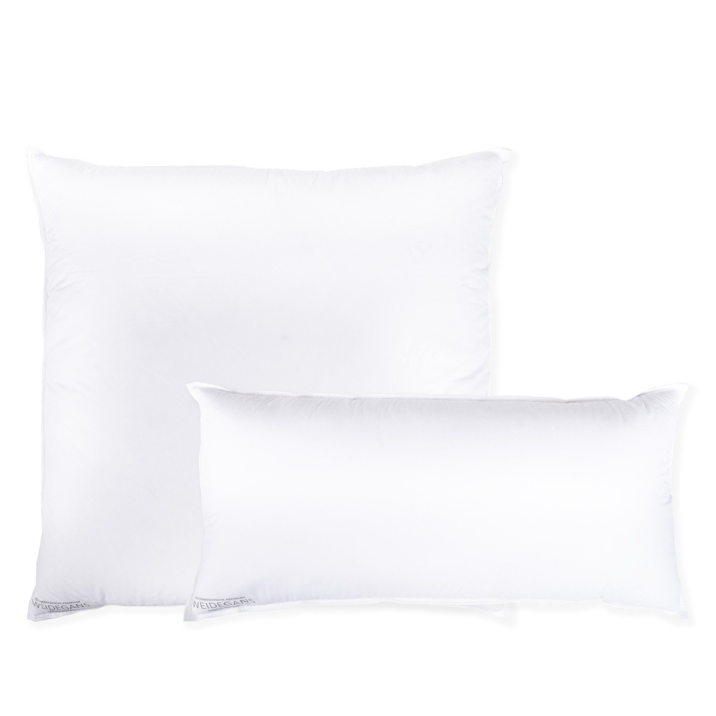 Sanders Kauffmann Daunenkissen Weidegans, Füllung: 100% neue österreichische Gänsedaunen, Bezug: 100% Baumwolle Mako-Einschütte, Rückenschläfer, Seitenschläfer, Bauchschläfer, Dreikammer Kopfkissen mit stützenden Eigenschaften