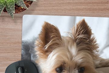 MuchoWow Gaming Mauspad Yorkshire Terrier liegt schlafend auf dem Sofa (1-St), Mousepad mit Rutschfester Unterseite, Gaming, 40x40 cm, XXL, Großes