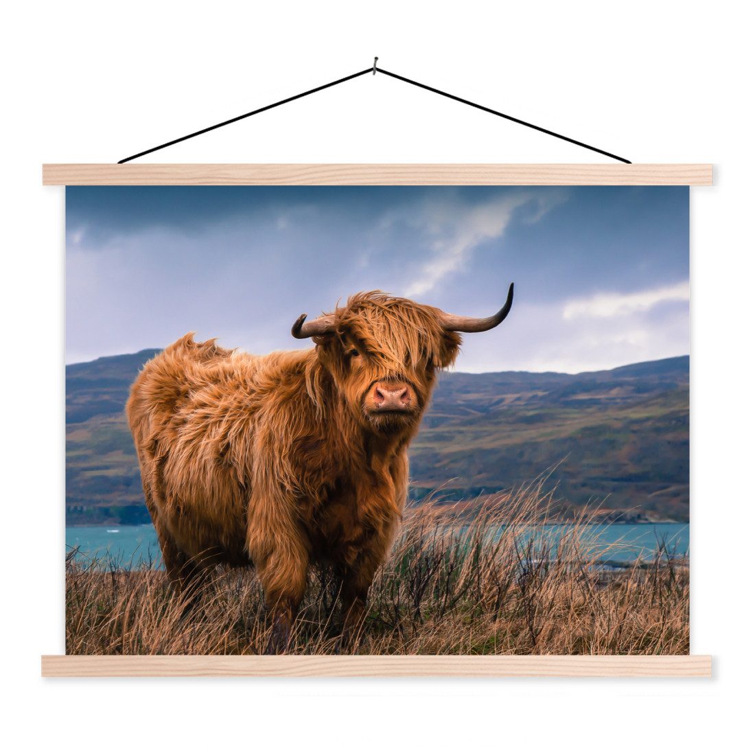Poster Schottischer Highlander - Berg - Wasser - Natur - Kuh
