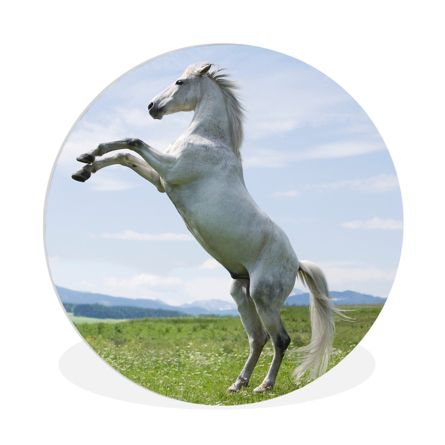 Gemälde Pferd - Aufzucht - Natur