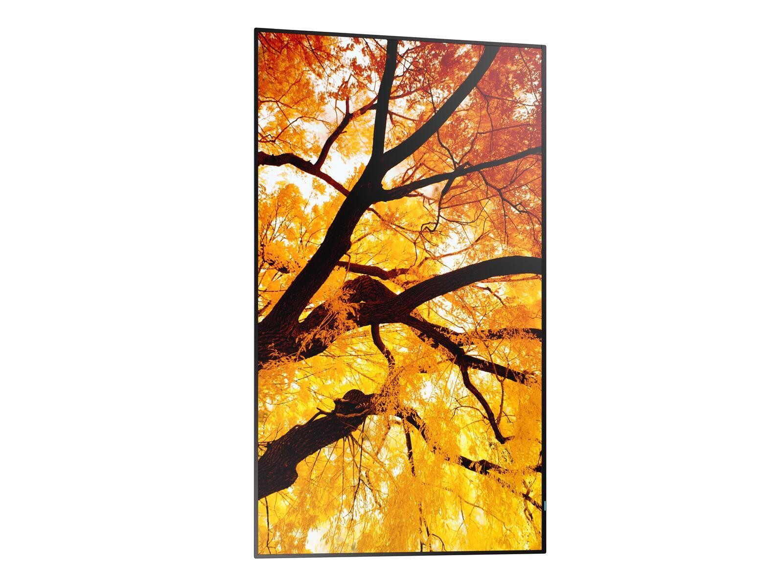 Sharp Sharp MultiSync® M862 LED-Monitor (3840 x 2160, 8 ms Reaktionszeit, 60 Hz, IPS Panel)