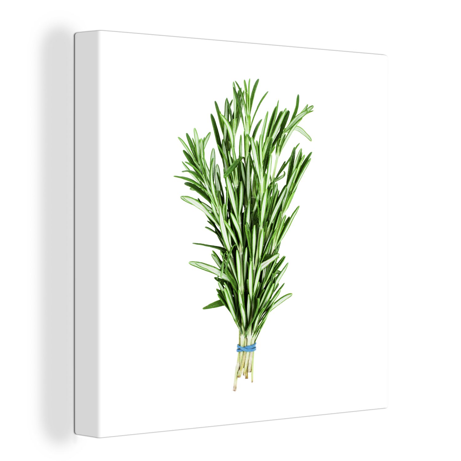 OneMillionCanvasses® Leinwandbild Strauß frischer Rosmarin auf weißem Hintergrund, (1 St), Leinwand Bilder für Wohnzimmer Schlafzimmer | Leinwandbilder