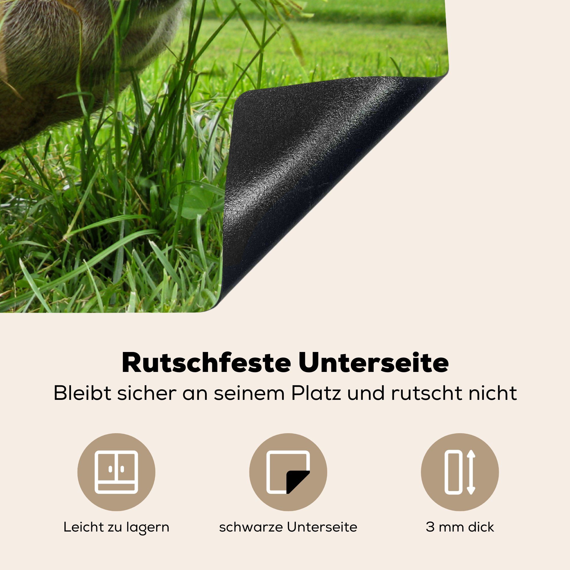 MuchoWow Herdblende-/Abdeckplatte Pendelschwein - Schutz für Tiere, Gras Vinyl, - cm, küche, die (1 Ceranfeldabdeckung 81x52 tlg), Induktionskochfeld