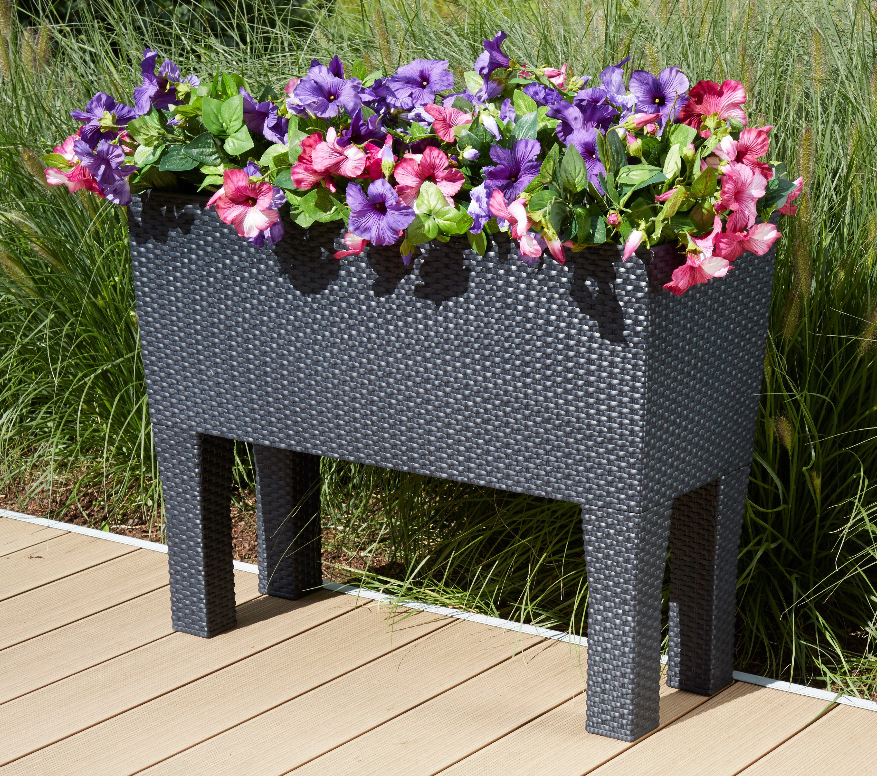 Prosperplast Pflanzkübel Rato Case High, BxTxH: 80x33x65 cm günstig online kaufen