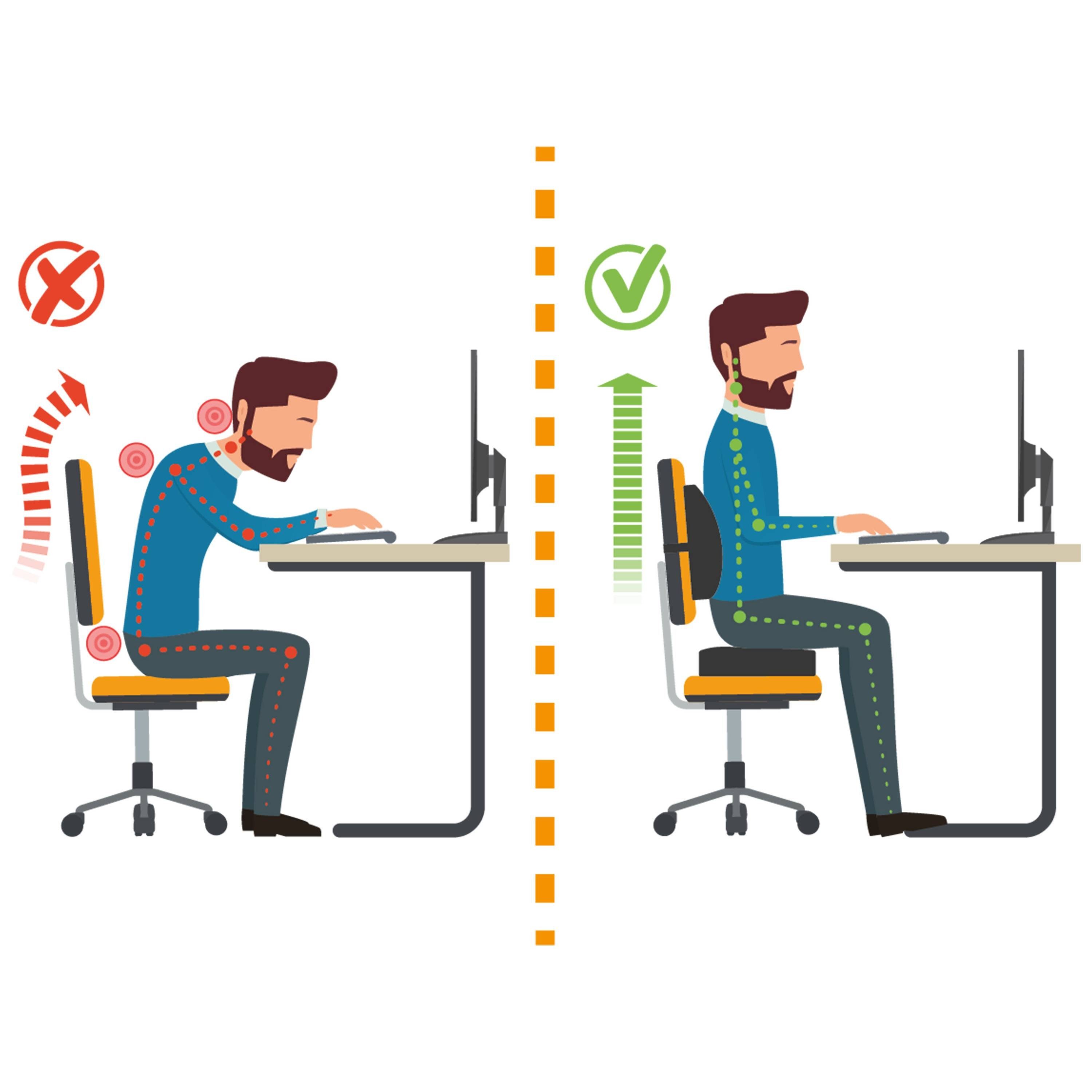 RICOO Haltungskissen SK-R0110, 1-tlg., Ergonomisches orthopädisches Lendenwirbel Kissen für Auto & Büro Stuhl