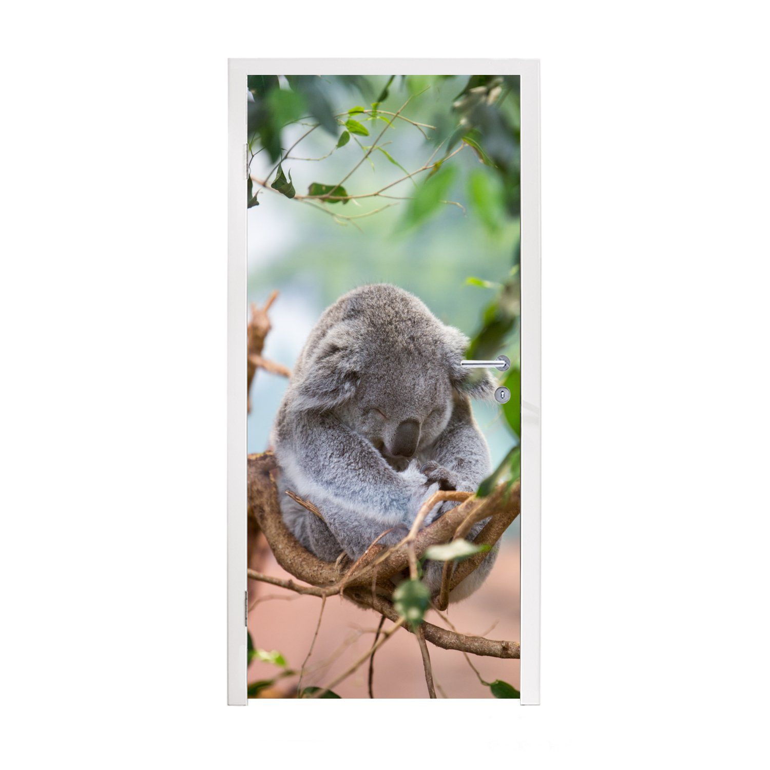 MuchoWow Türtapete Koala - Zweige - Kinder - Jungen - Mädchen, Matt, bedruckt, (1 St), Fototapete für Tür, Türaufkleber, 75x205 cm