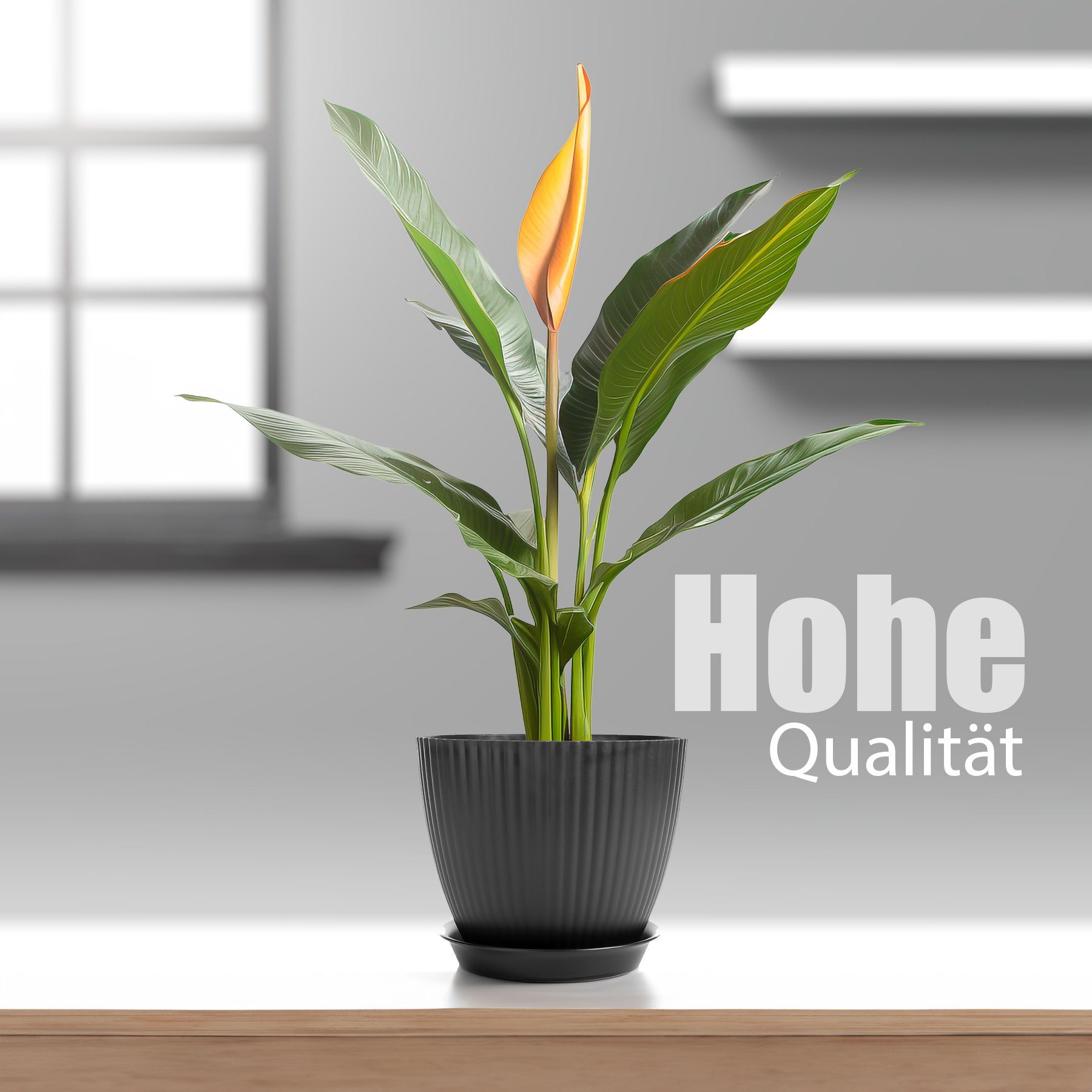 BigDean Blumentopf 8er Set Blumentopf in günstig online kaufen