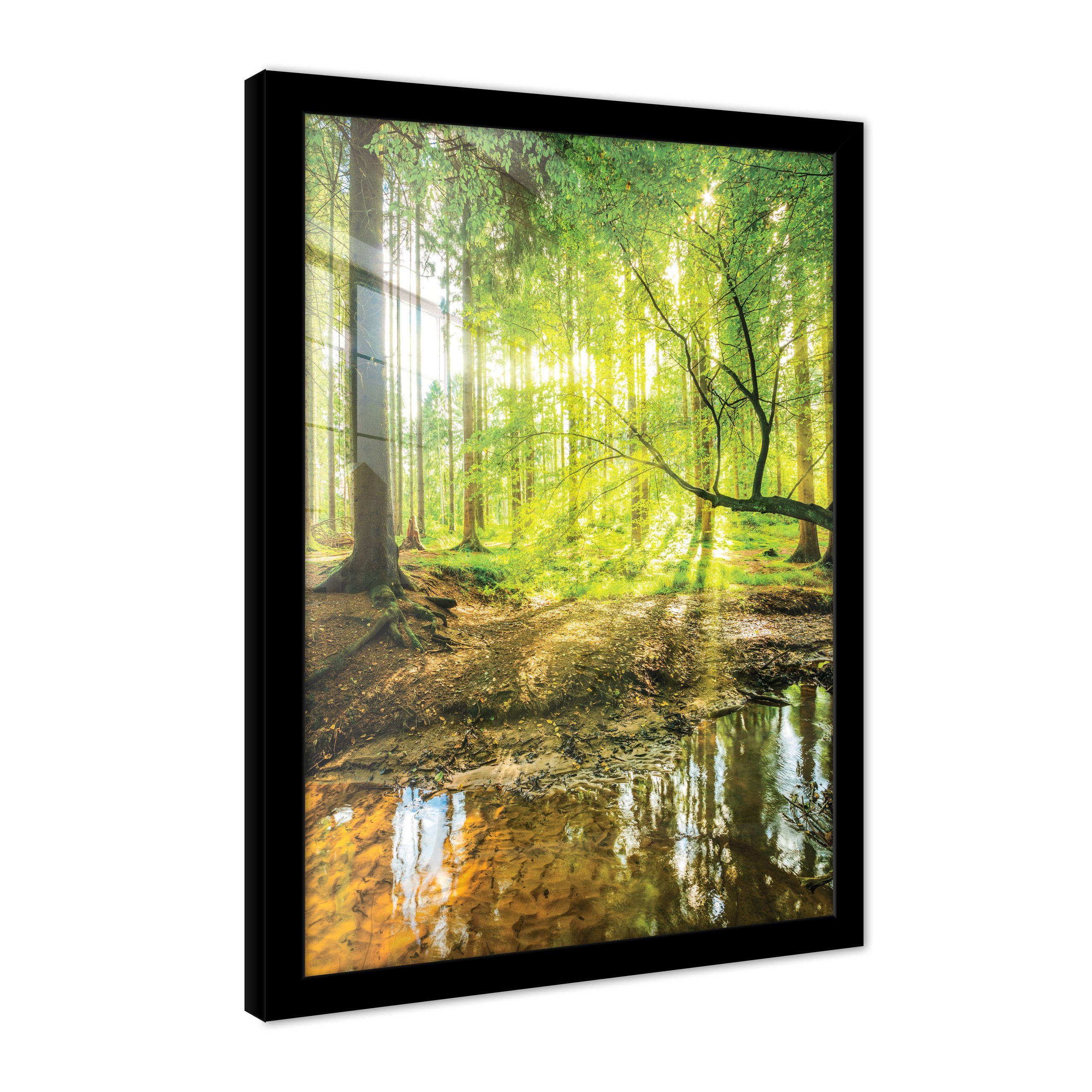 Wallarena Poster mit Rahmen Bilder Wald Wohnzimmer Schlafzimmer Kunstdruck Wandbild, Sonnenwald Poster Bild (1 St), Groß Wandbilder Größen zur Auswahl: 30x40 cm / 50x70 cm / 70x100 cm