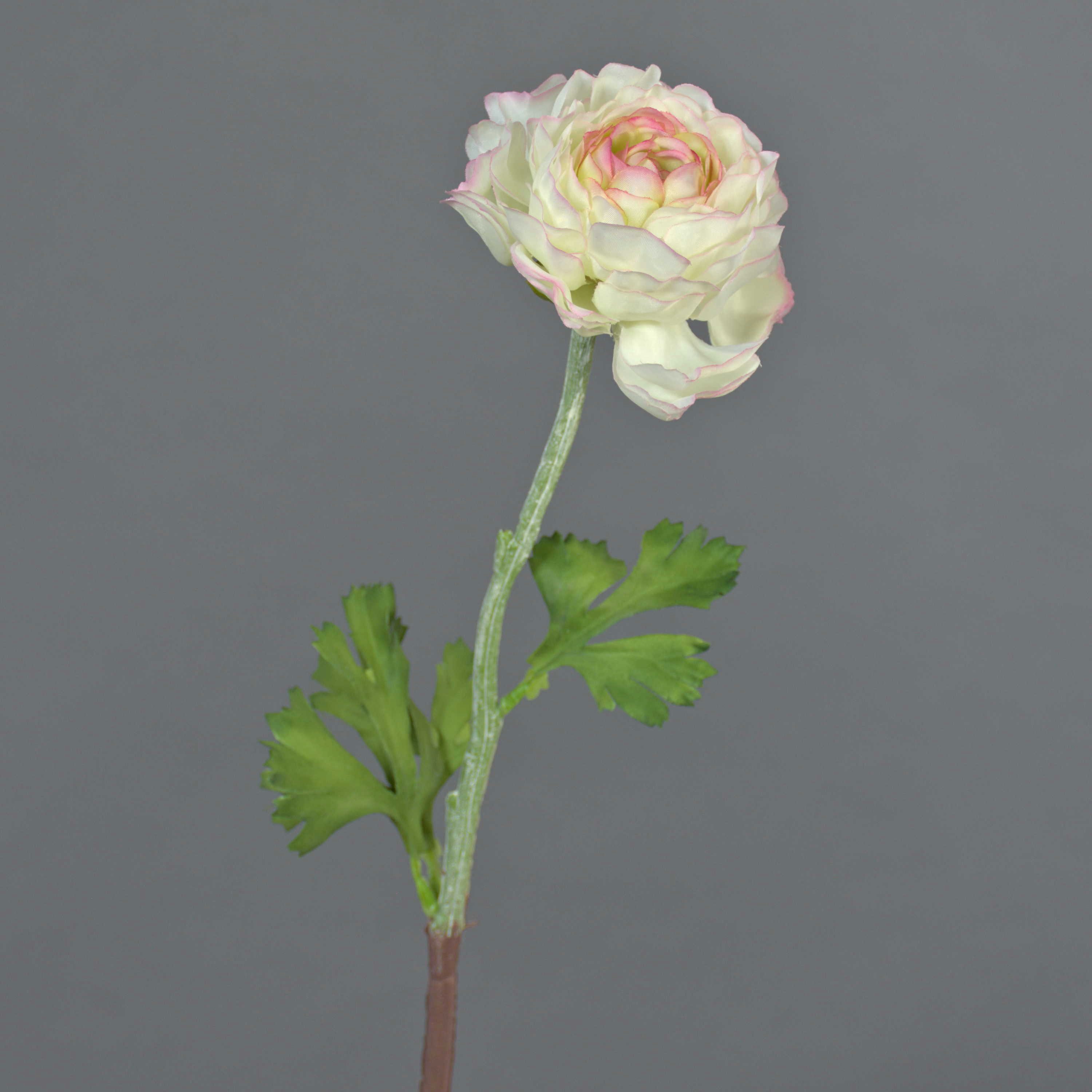 Kunstblume Ranunkel künstlich ELORIO, Creme-rosa, 50cm Ranunkel, artplants, Höhe 50.0 cm