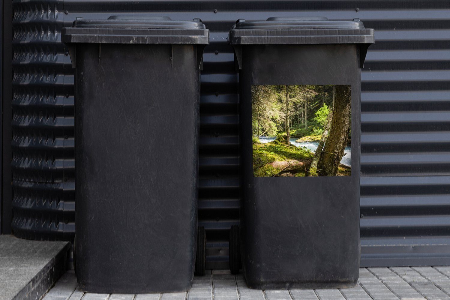 Wäldern Tauern (1 Container, Wandsticker Hohe Sticker, den Flussbett in MuchoWow Mülltonne, Abfalbehälter des Mülleimer-aufkleber, Nationalparks St),