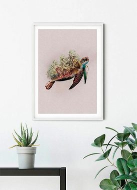 Komar Poster Animals Paradise Turtle, Tiere (1 St), Kinderzimmer, Schlafzimmer, Wohnzimmer