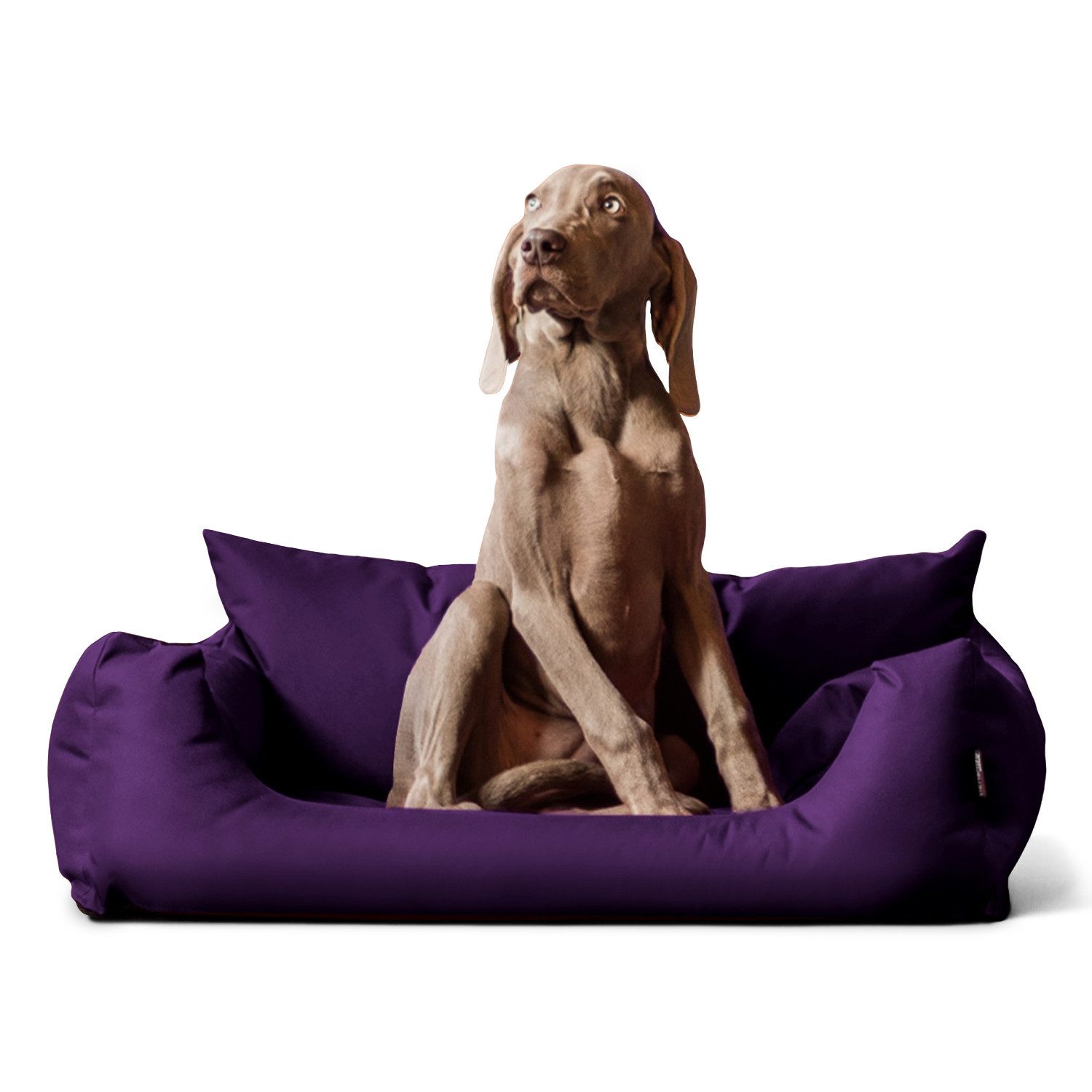 tierlando® Tierbett NEMO Hundebett Hundesofa S günstig online kaufen