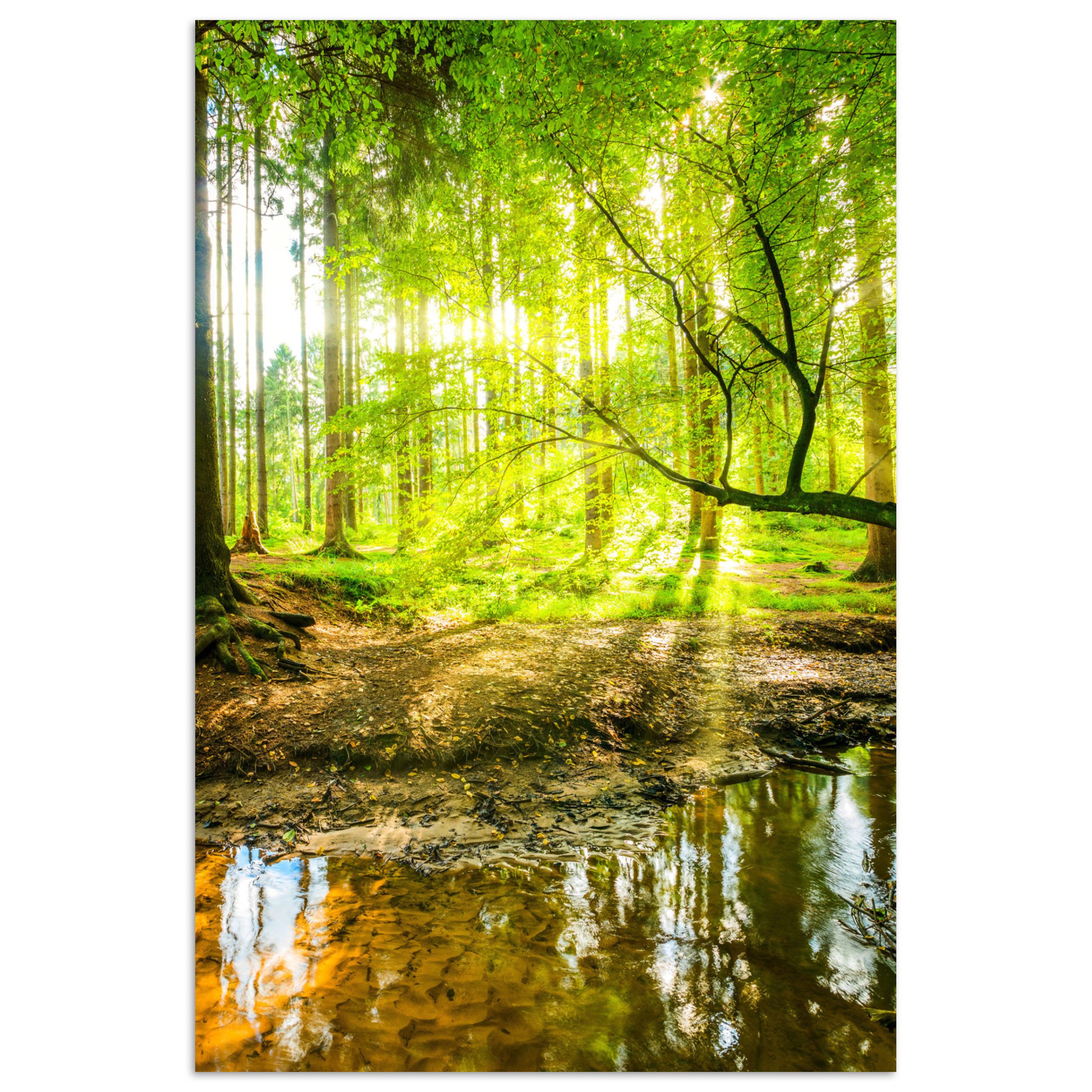 MuchoWow Poster Wald - Landschaft - Wasser - Bäume - Sonne - Grün - Natur, (1 St), Poster ohne Rahmen, Wandbild, Wandposter, 20x30 cm