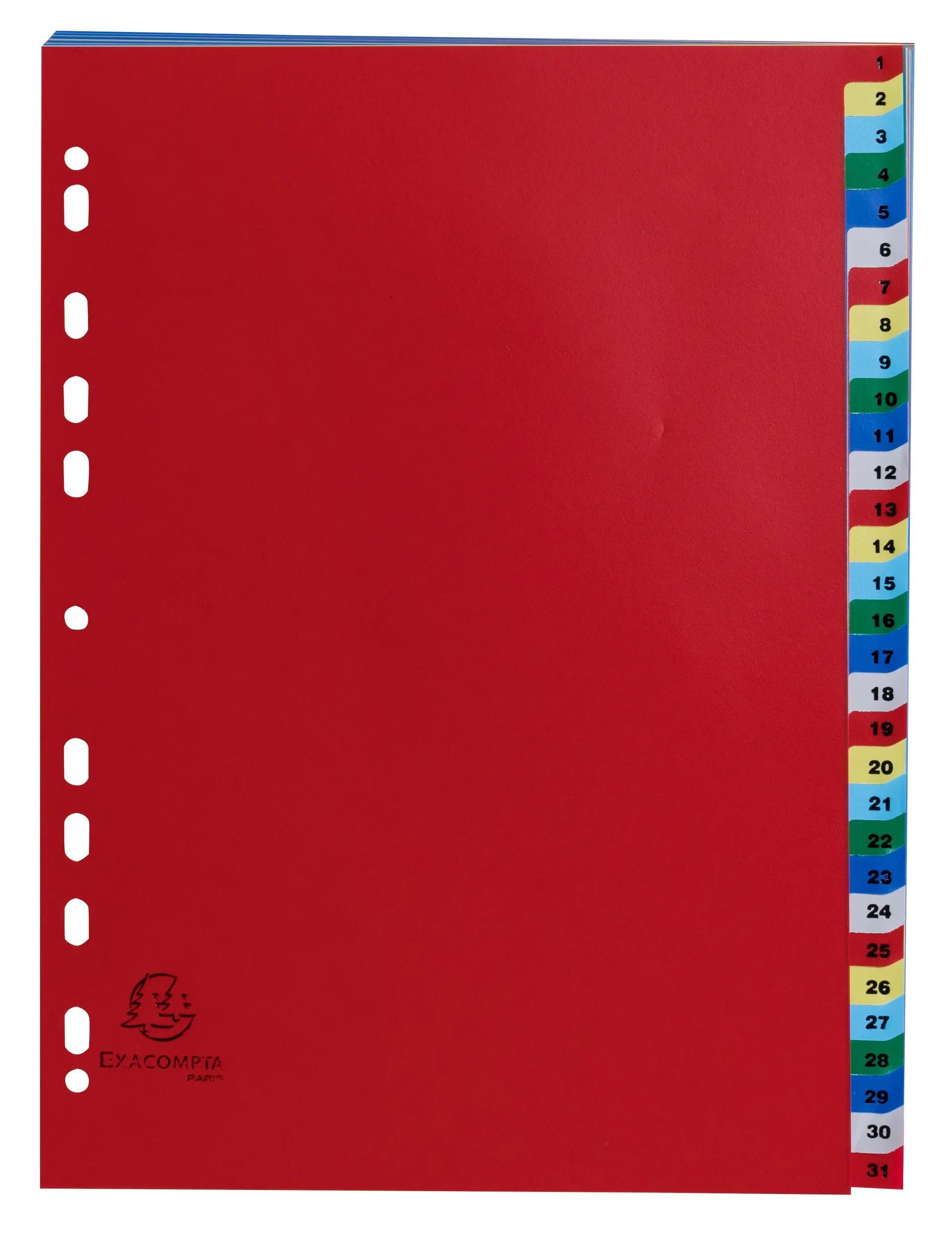 EXACOMPTA Aktenordner 20x Register für Ordner Ringbücher PP 31 Positionen Taben 1-31 A4 93E, PP Register