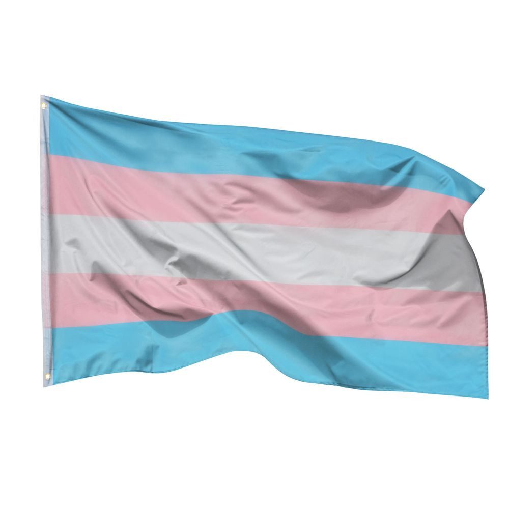PHENO FLAGS Flagge Transgender Pride Flagge LGBT 90 x 150 cm Transsexuell Fahne (Hissflagge für Fahnenmast), Inkl. 2 Messing Ösen