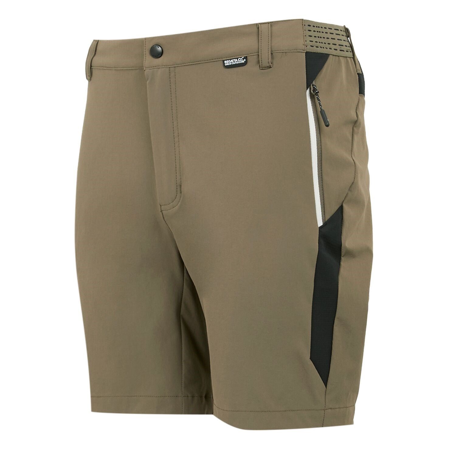Regatta Shorts Mountain Shorts II Wanderhose günstig online kaufen