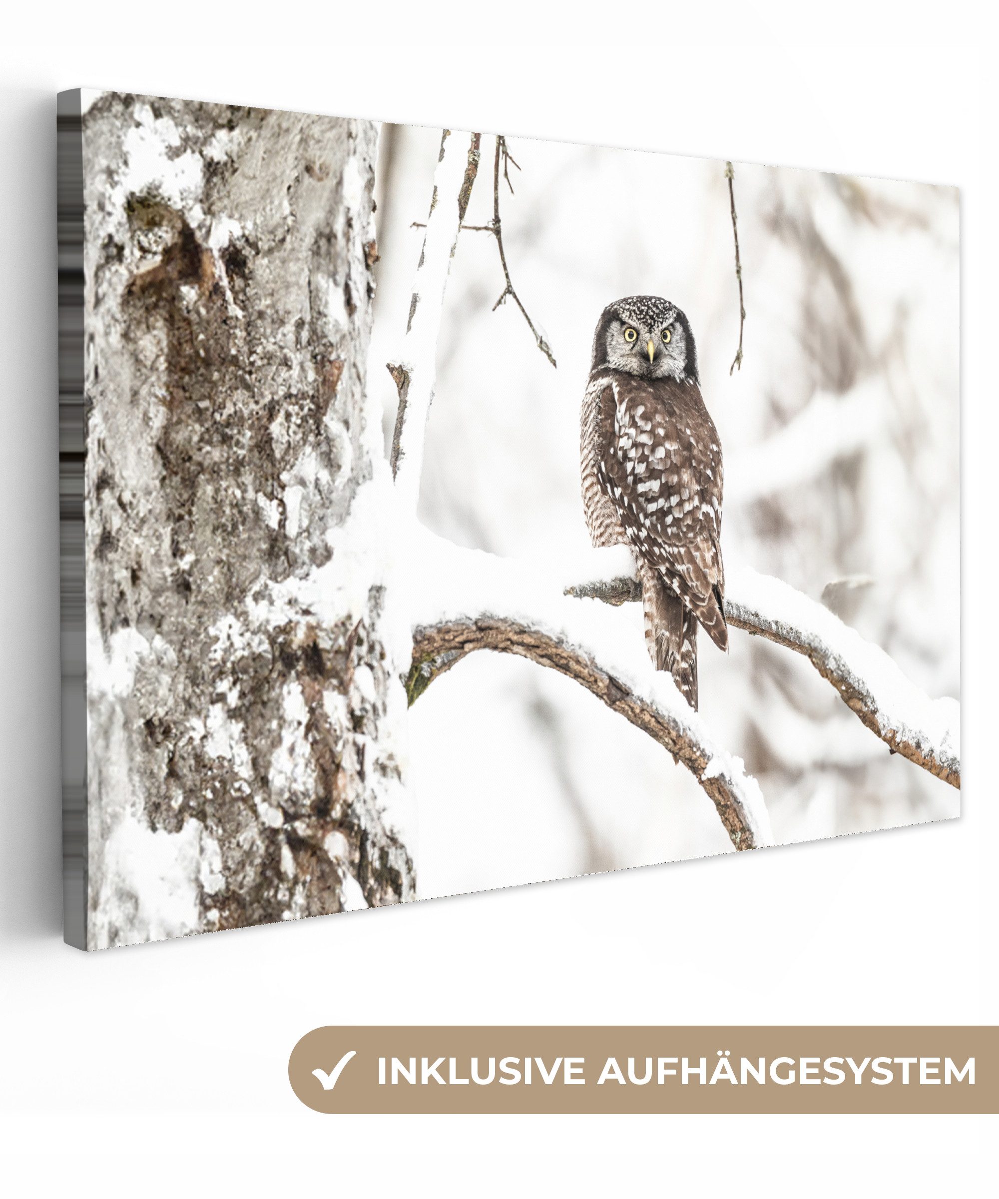 OneMillionCanvasses® Leinwandbild Eule - Schnee - Winter - Vögel - Porträt, Fotodruck (1 St), Leinwand Bilder Klein, Wand Dekoration Aesthetic 30x20 cm