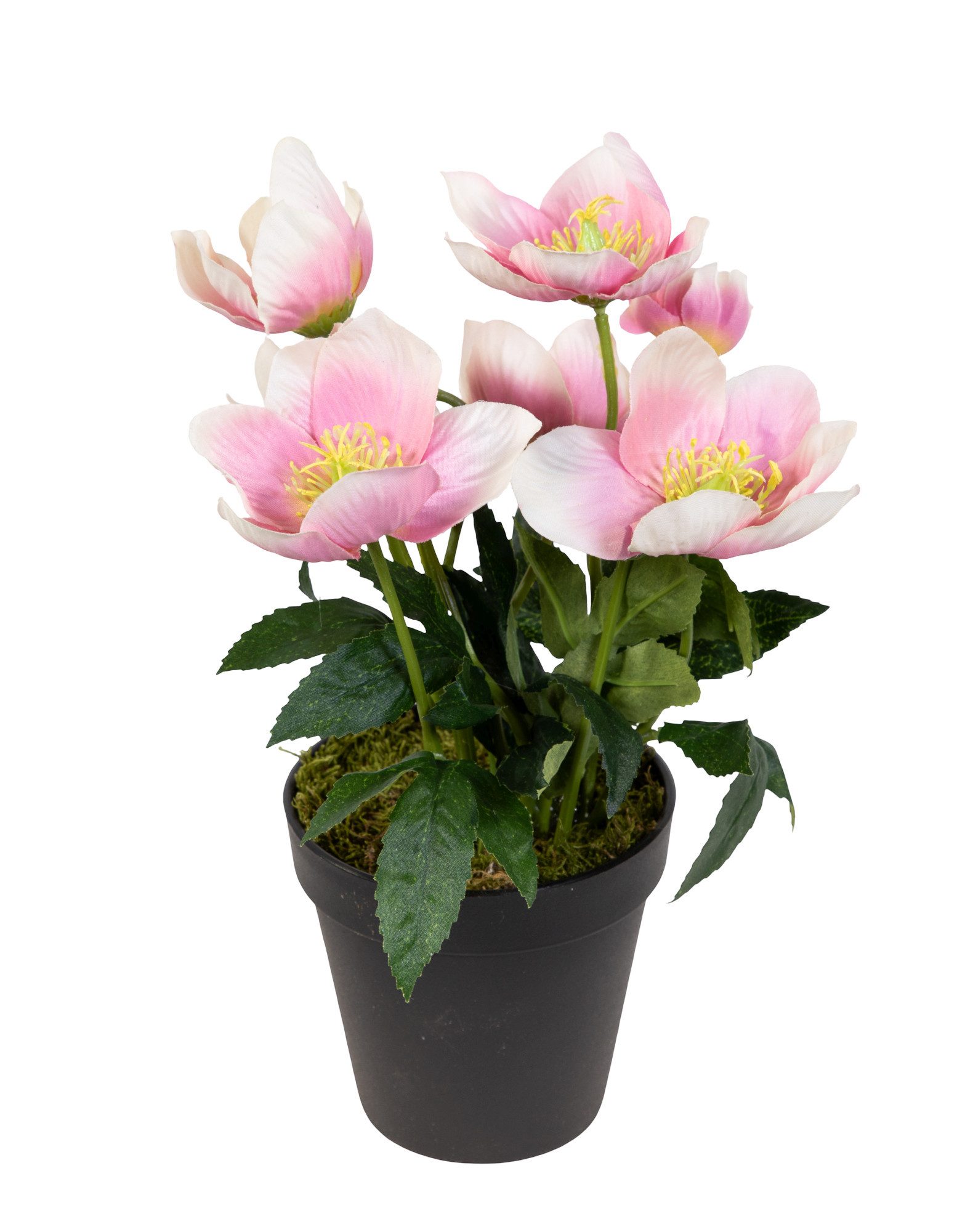 Kunstblume Christrosenbusch im Topf PM Kunstpflanzen künstliche Blumen Chri günstig online kaufen