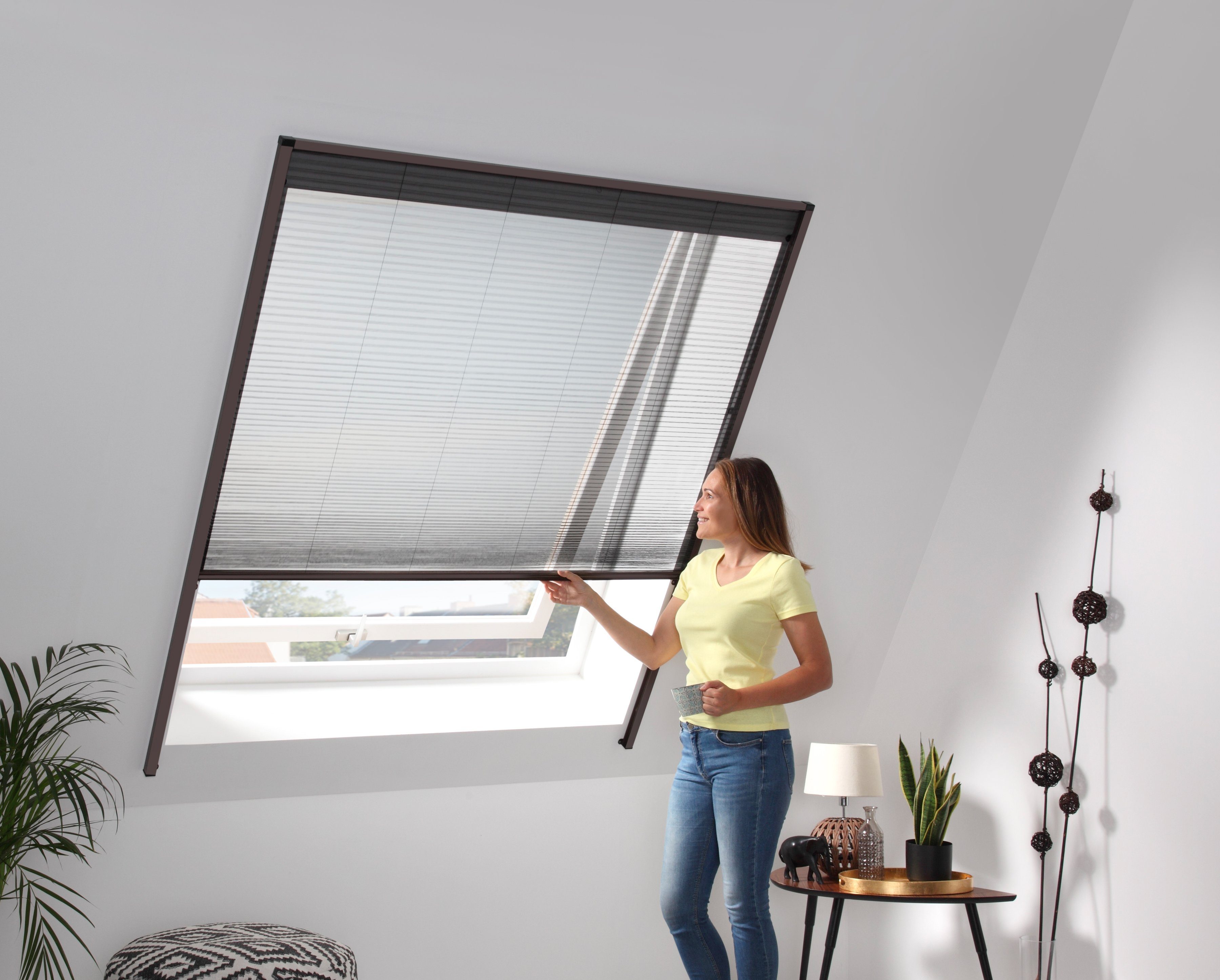Insektenschutzrollo für cm Dachfenster, braun/schwarz, hecht verschraubt, BxH: international, 160x180 transparent