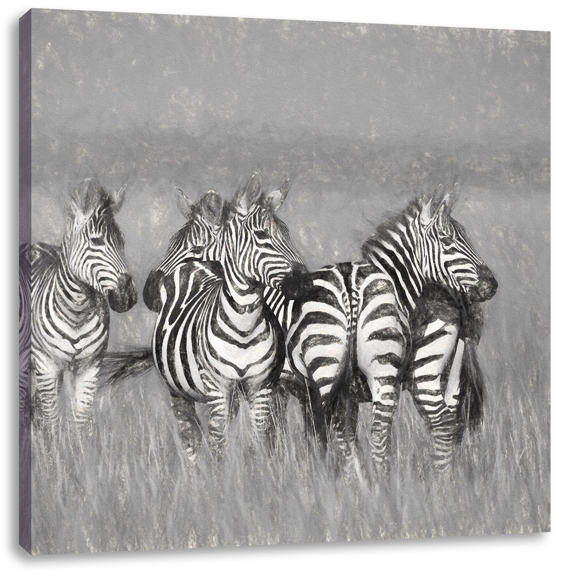 inkl. fertig bespannt, Zackenaufhänger Savanne, Zebras Leinwandbild Zebras Savanne in St), Pixxprint in Leinwandbild (1