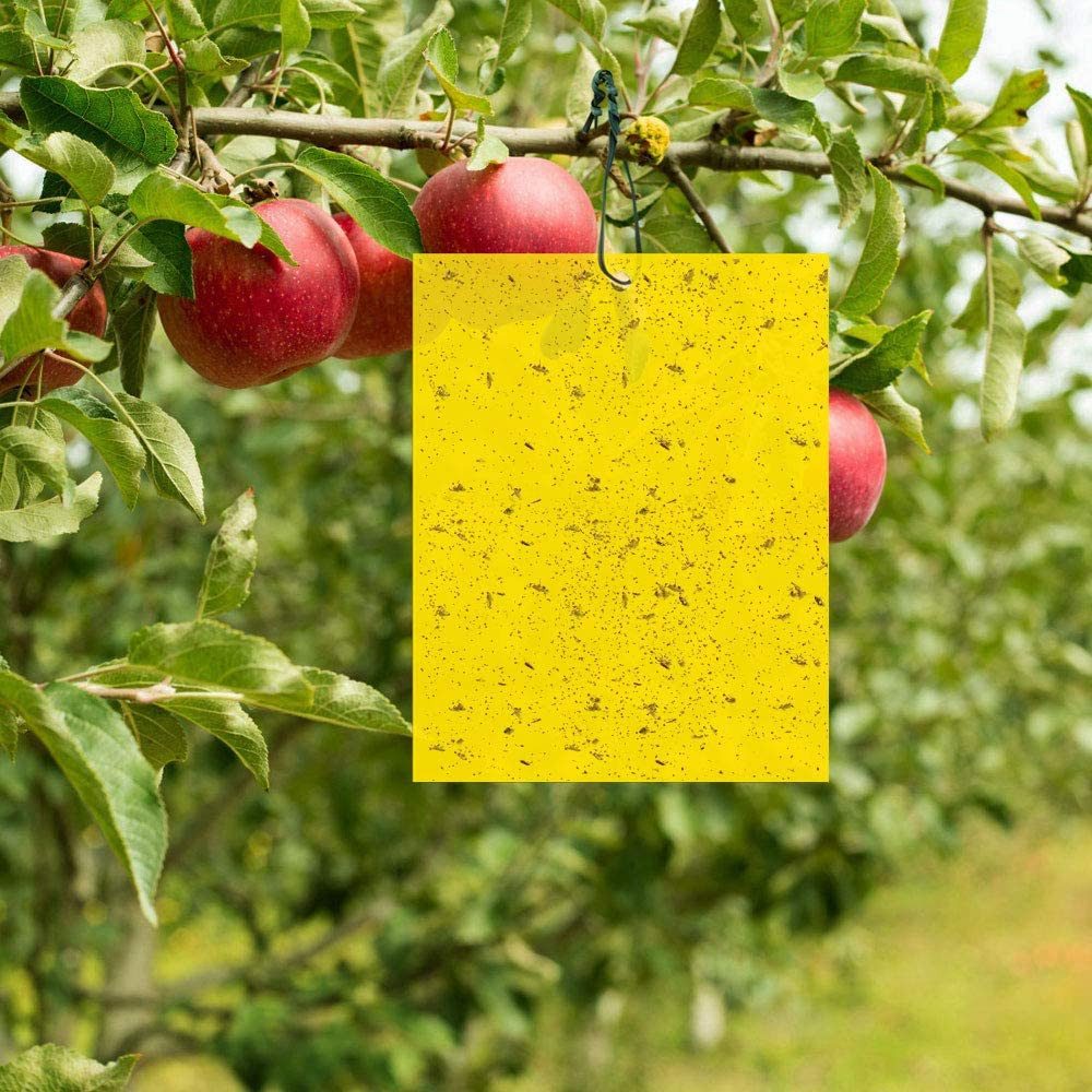 UE Stock Insektenfalle 30 St Fliegenfänger Sticker Klebrige Fliegenfalle mit 20cm Kabelbinder, mit insektizidfreiem und ungiftigem Klebstoff