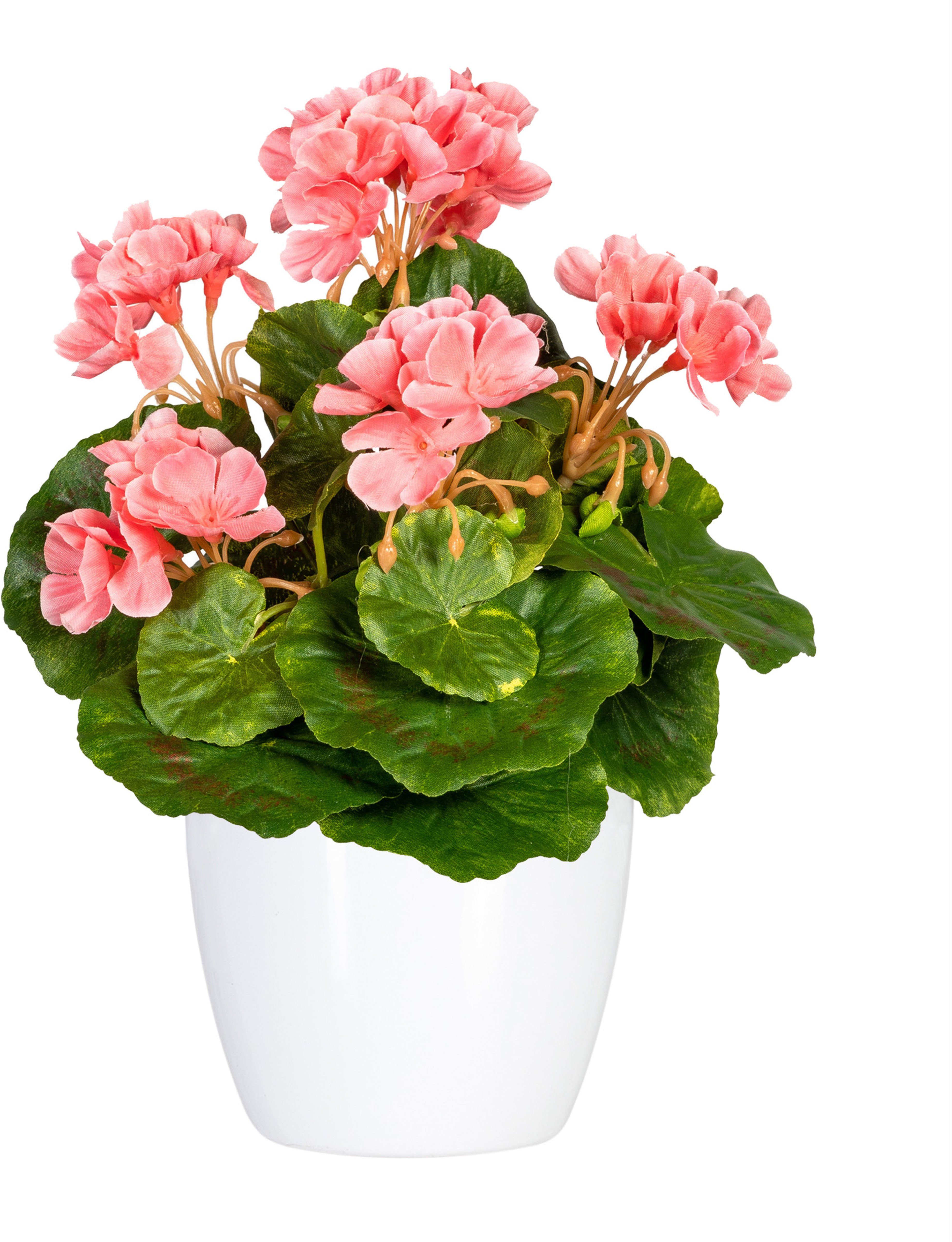 Kunstpflanze Havel Geranie, OTTO home, Höhe 24 cm, im Topf, 2er Set – Bild 2 von 2