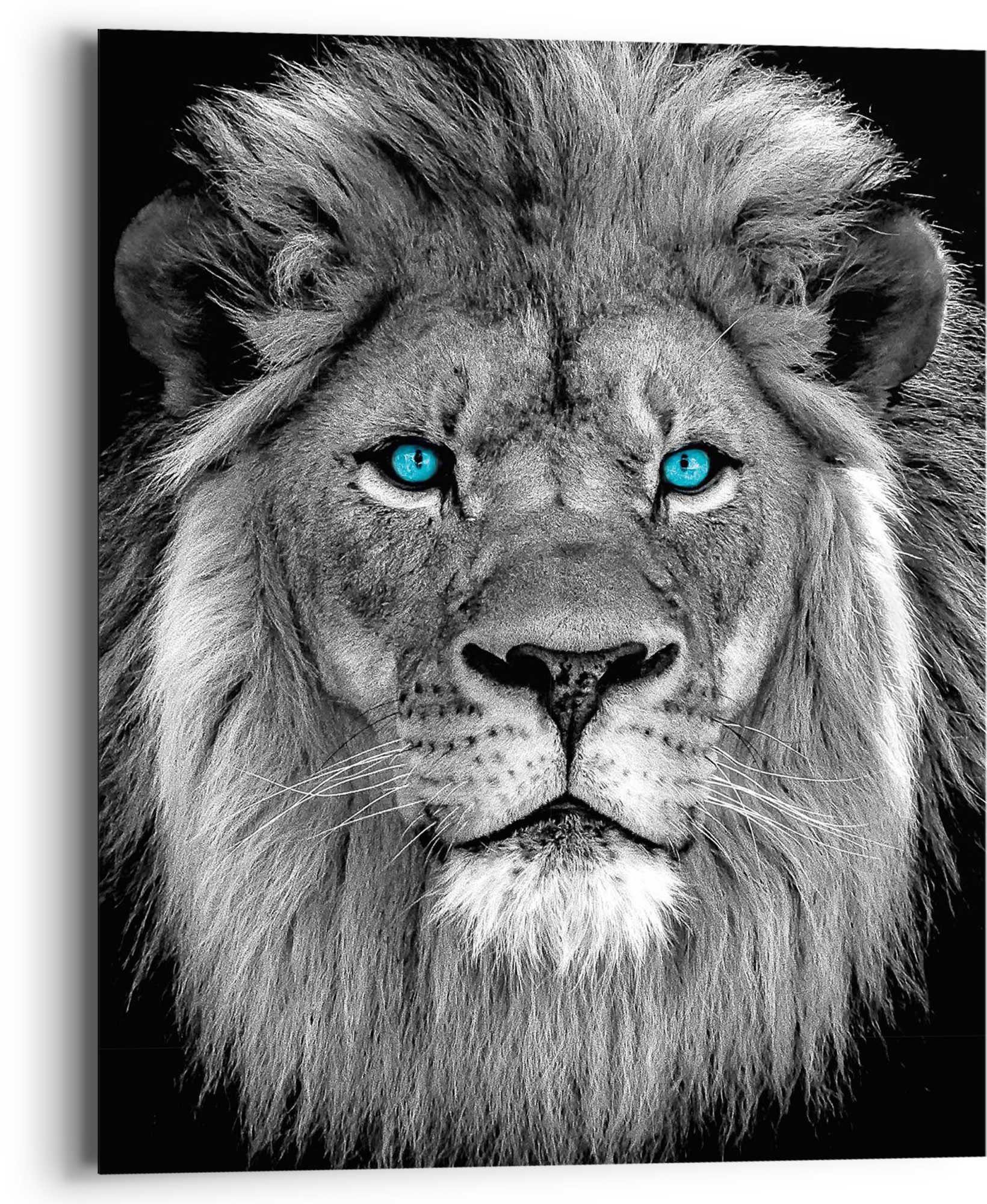 Reinders! Wandbild Augen mit Löwe blaue