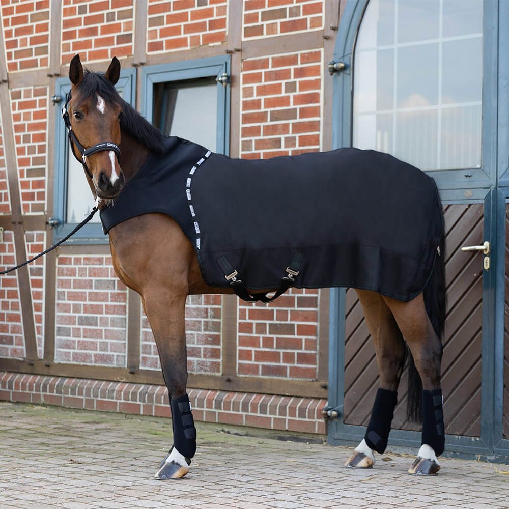 Eskadron Pferde-Thermodecke Eskadron Basics Führmaschinendecke Delta 300g - Black