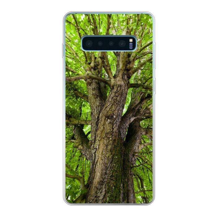 MuchoWow Handyhülle Ein Kastanienbaum im Sommer Phone Case Handyhülle Samsung Galaxy S10 Lite Silikon Schutzhülle