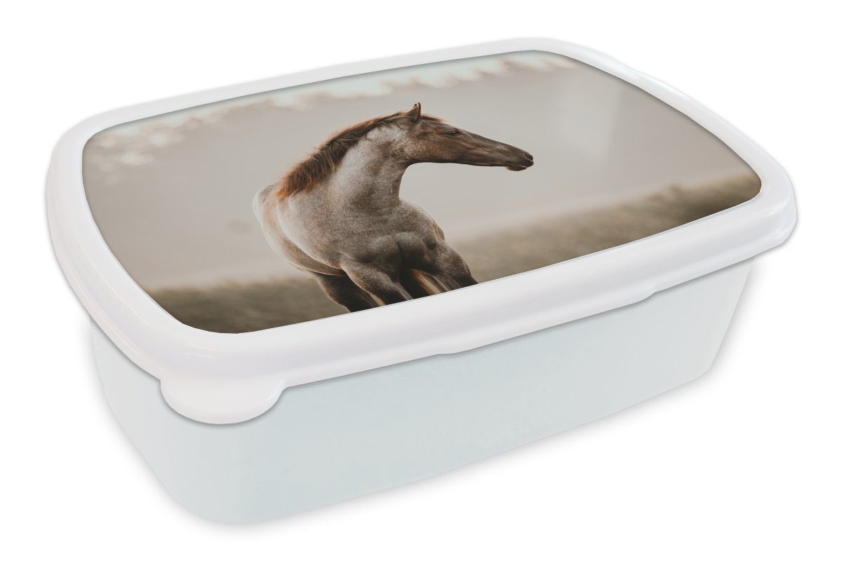 MuchoWow Lunchbox Pferd - Nebel - Natur, Kunststoff, (2-tlg), Brotbox für Kinder und Erwachsene, Brotdose, für Jungs und Mädchen weiß