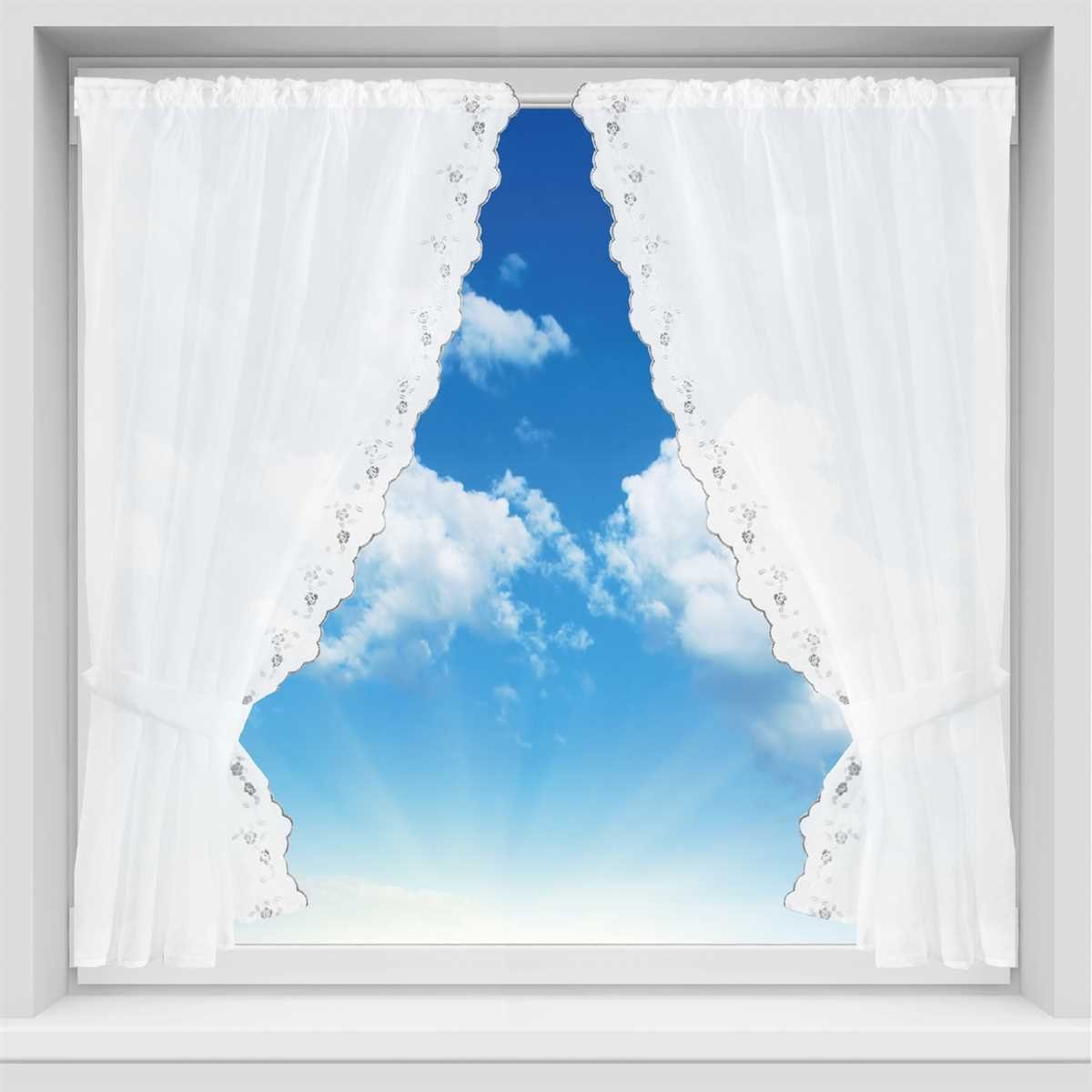 Arsvita Vorhang, Stangendurchzug, transparent, Gardinenset (2 günstig online kaufen