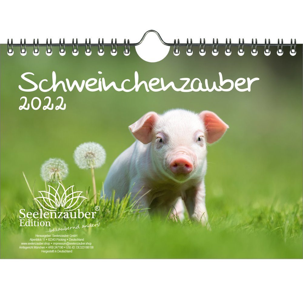 Seelenzauber Tierkalender Schweinchenzauber Din A5 Wandkalender Fur 2022 Online Kaufen Otto
