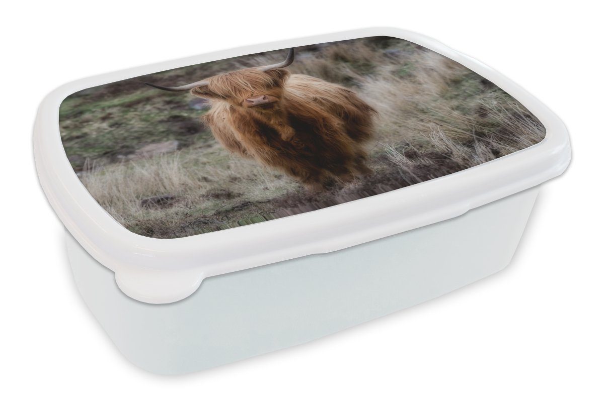 MuchoWow Lunchbox Schottischer Hochländer - Moos - Gras, Kunststoff, (2-tlg), Brotbox für Kinder und Erwachsene, Brotdose, für Jungs und Mädchen weiß