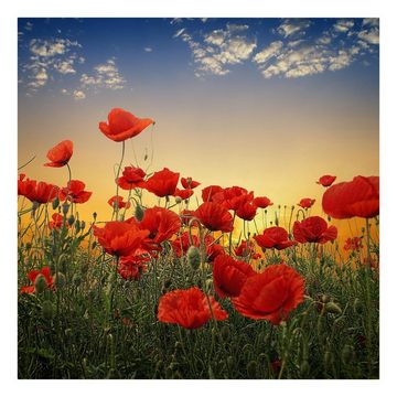 Bilderdepot24 Leinwandbild Blumen Modern Mohnblumenfeld Sonnenuntergang rot Bild auf Leinwand XXL, Bild auf Leinwand; Leinwanddruck in vielen Größen