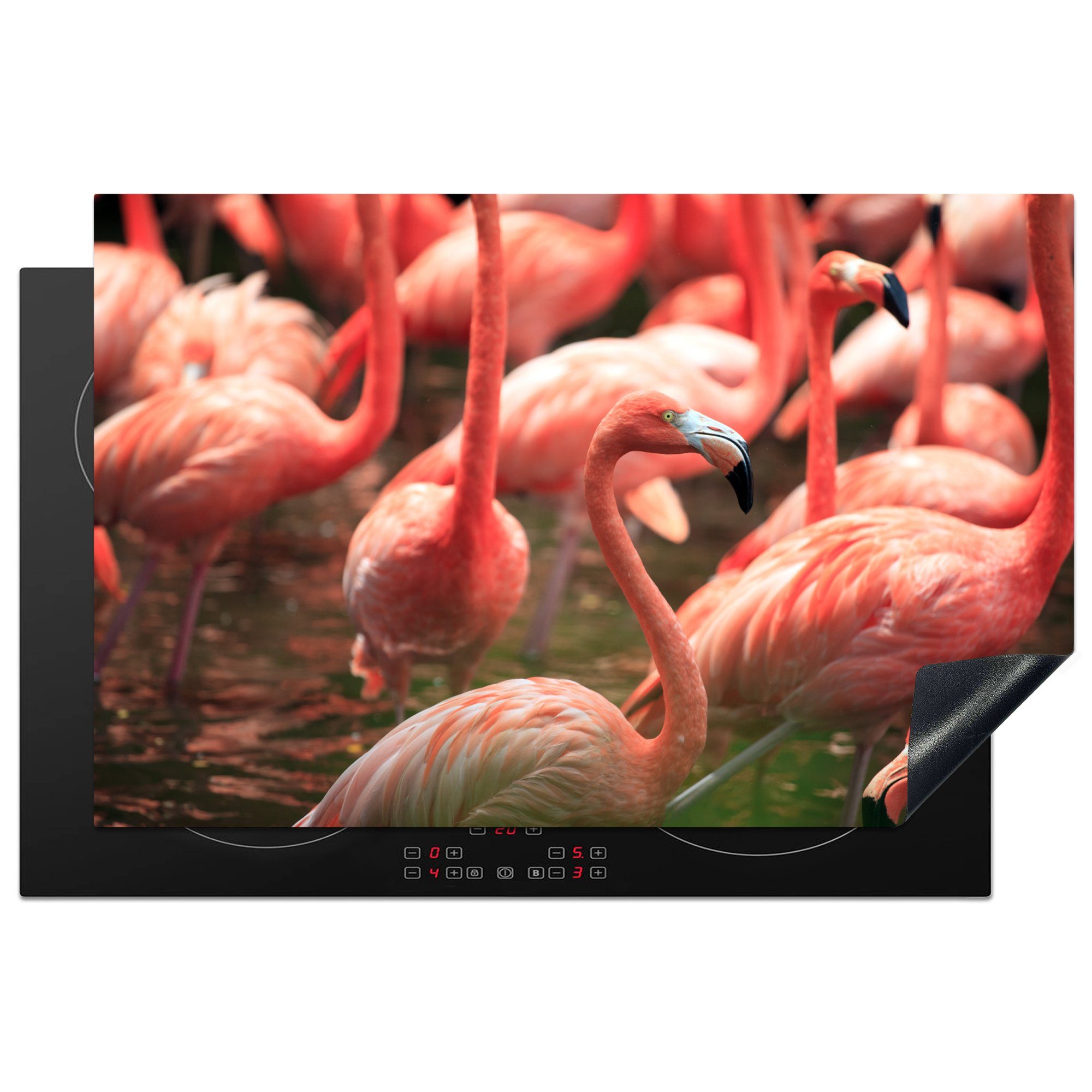 MuchoWow Herdblende-/Abdeckplatte Gruppe von Flamingos im Wasser aus der Nähe, Vinyl, (1 tlg), 81x52 cm, Induktionskochfeld Schutz für die küche, Ceranfeldabdeckung