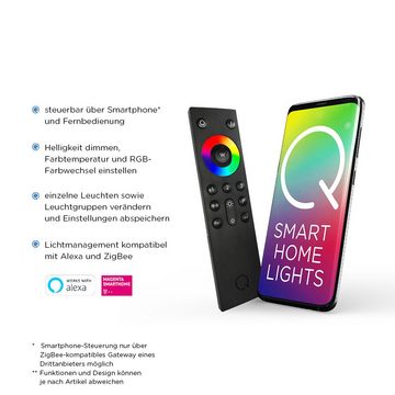 Paul Neuhaus Smarte LED-Leuchte LED Außen-Deckenleuchte Q - LENNY Smart Home, Smart Home, RGB-Farbwechsel, Dimmfunktion, Memoryfunktion, mit Leuchtmittel, RGB+W Farbwechsel dimmbar, Fernbedienung App Alexa