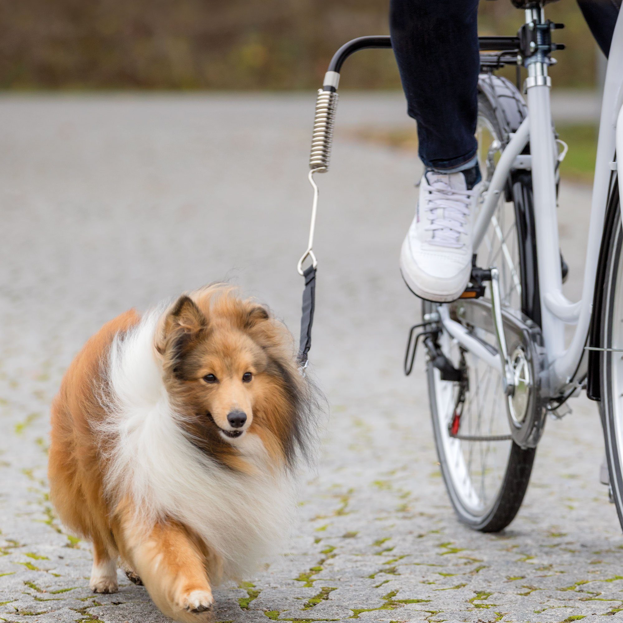 TRIXIE Fahrradleine Fahrradhalter - Biker, Stahl und Nylon (1-tlg), Die Verwendung von Hunde / Fahrradhaltern / Fahrradleinen ist in Österreich gesetzlich verboten.