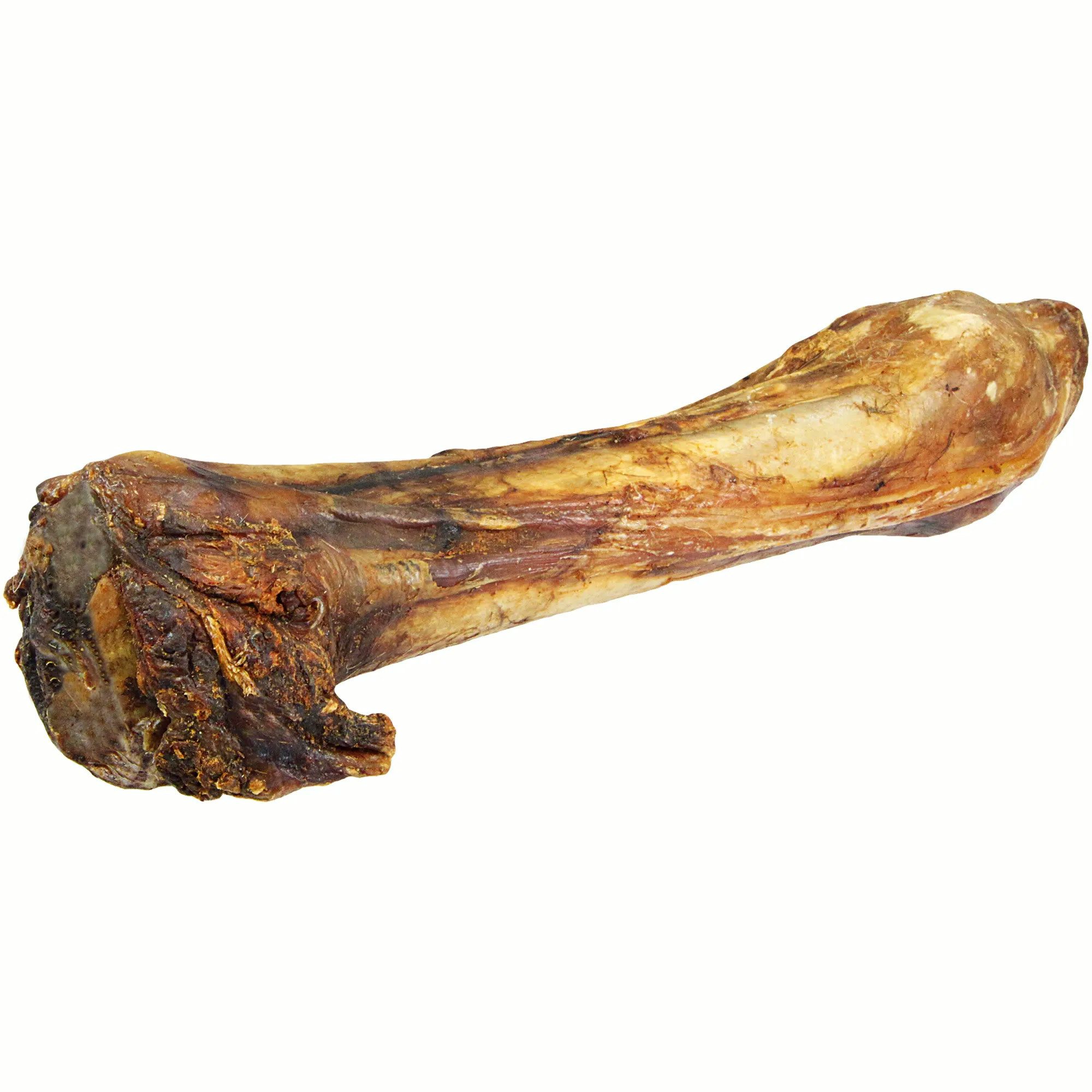 Schecker Pferdeknochen 1 Stück - Ideal für empfindliche, allergische Hunde, Snack für: Hunde, Getreidefrei, Glutenfrei, Hypoallergen, Sensitiv