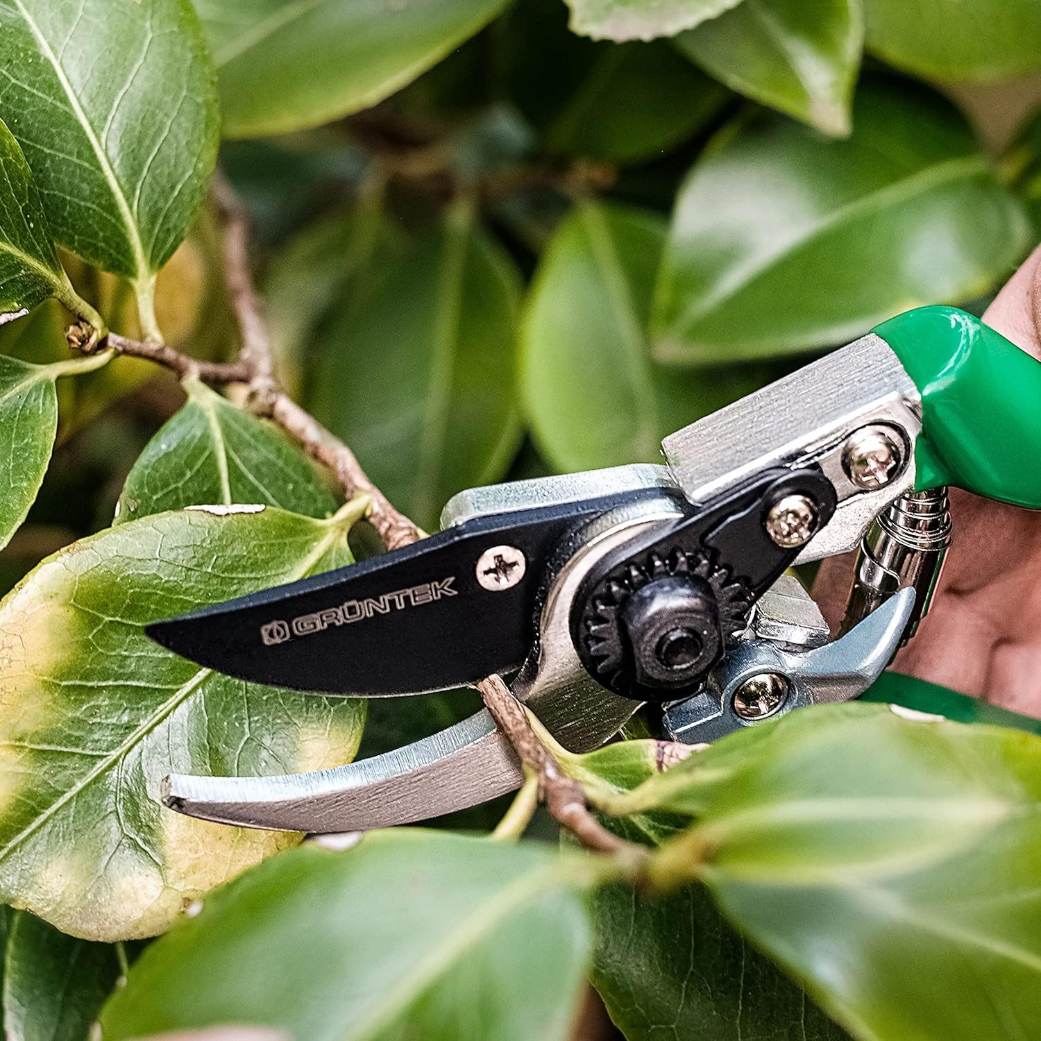 GRÜNTEK Gartenschere Präzision Bypass Gartenschere FALKE Teflon 215 mm, mit sanftes und kraftsparendes Schneidsystem – Bild 5 von 5