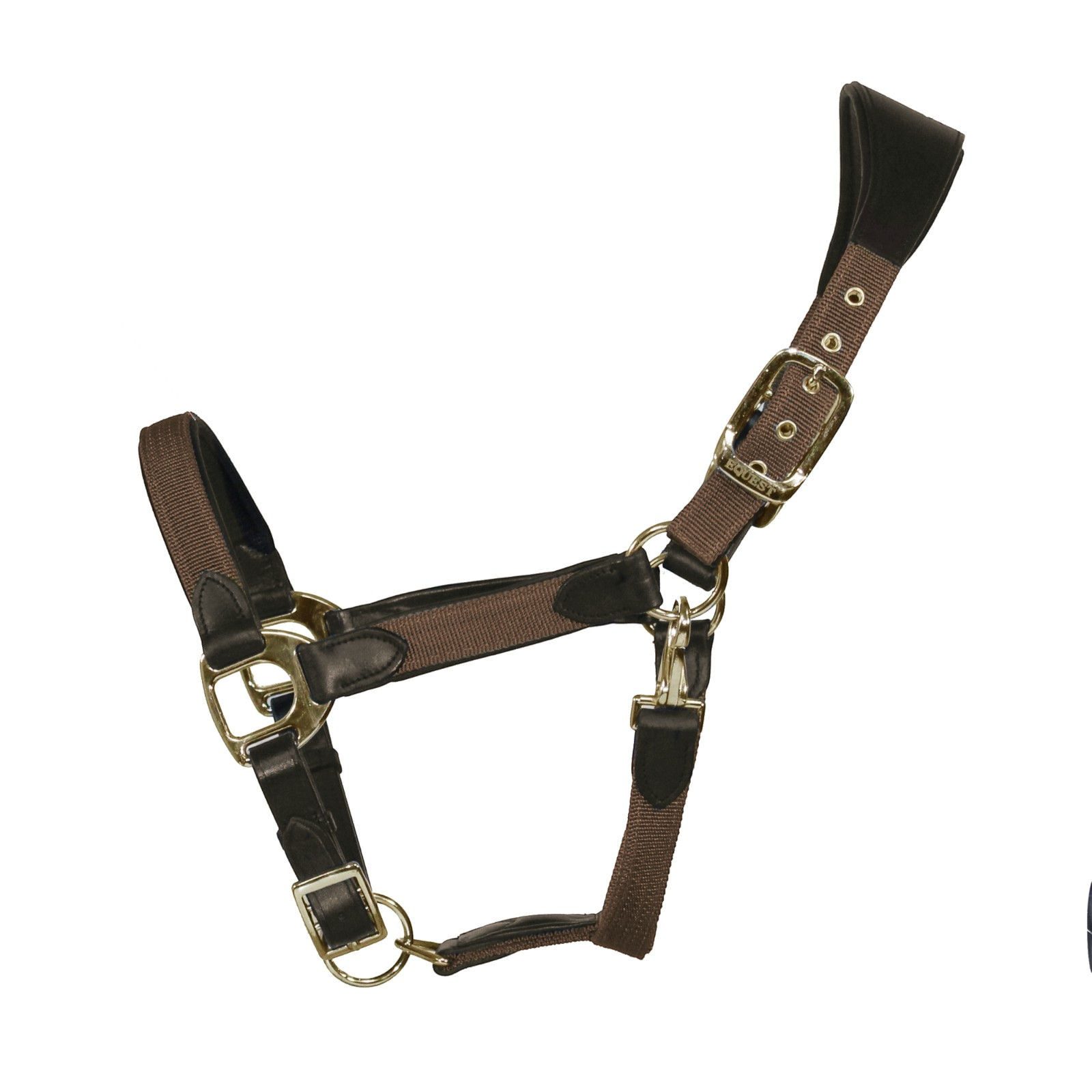 EQuest Halfter Halfter Unique für Pferde - Messing Finish, Mocha - L Warmblut, 100 % Rindsleder, 100 % Polypropylen