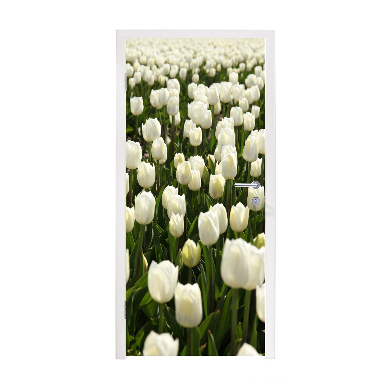 MuchoWow Türtapete Weiße Tulpen auf einem Feld, Matt, bedruckt, (1 St), Fototapete für Tür, Türaufkleber, 75x205 cm